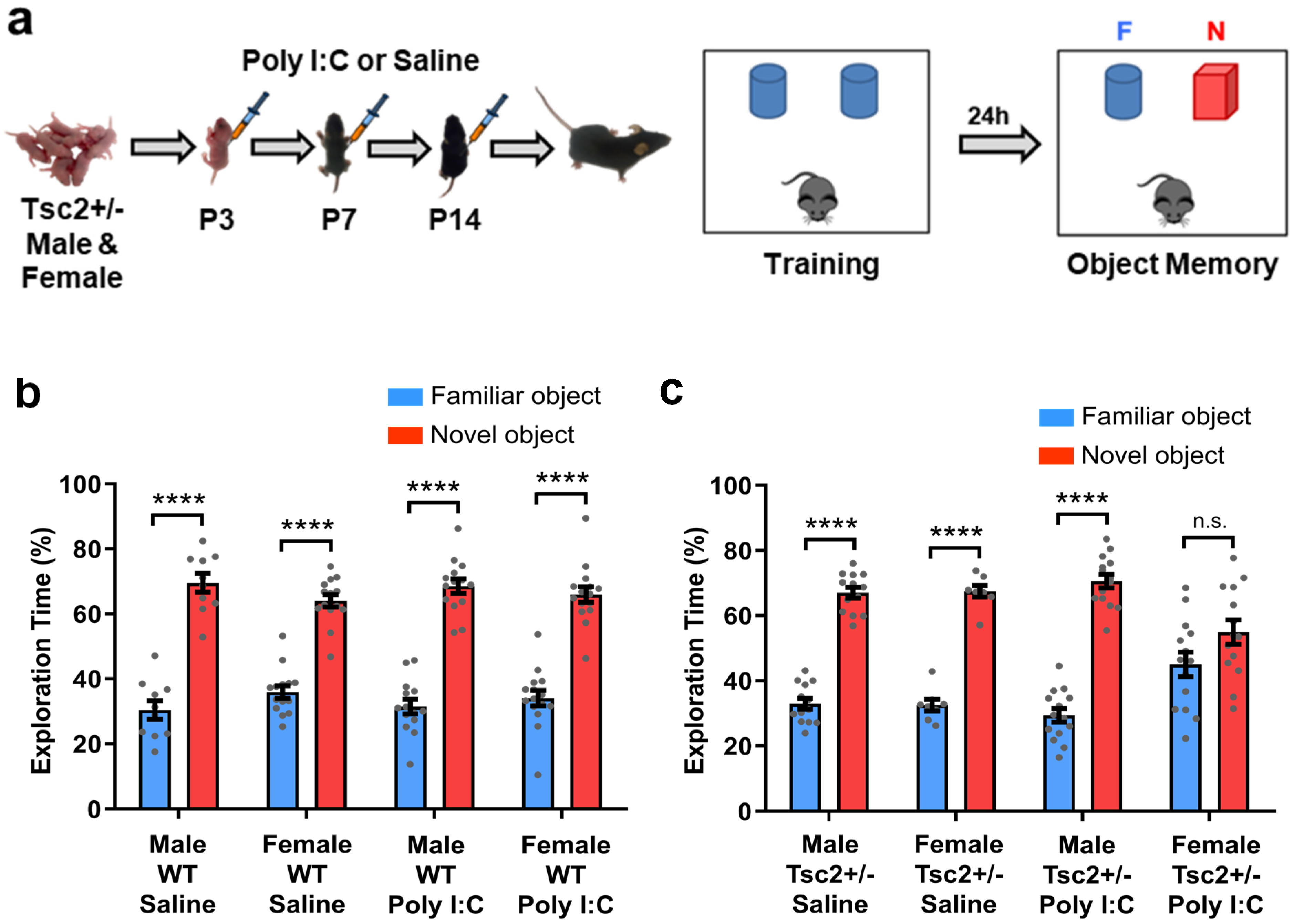 Biomedicines 12 00203 g001