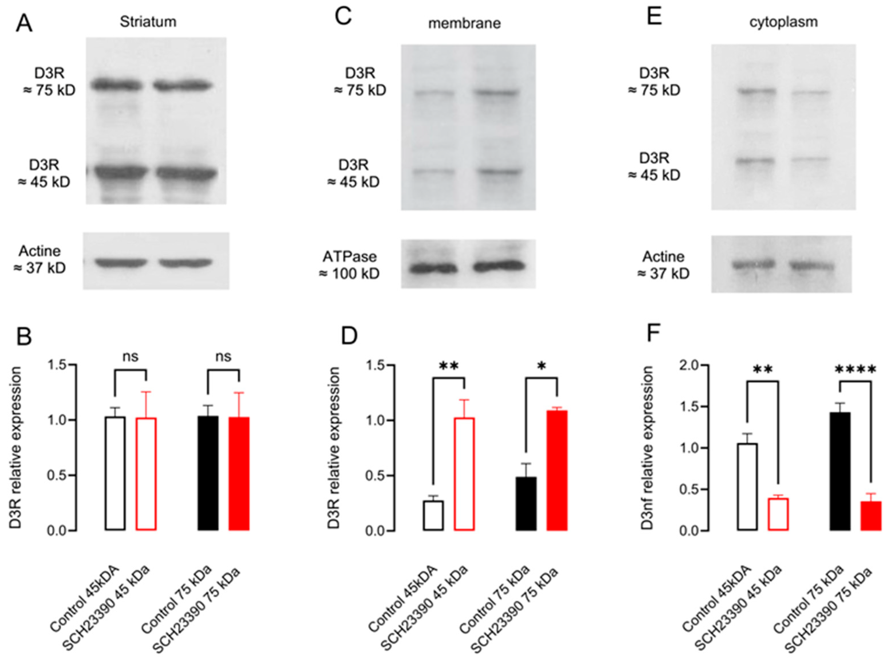 Biomedicines 12 00206 g005 Biomedicines 12 00206 g005