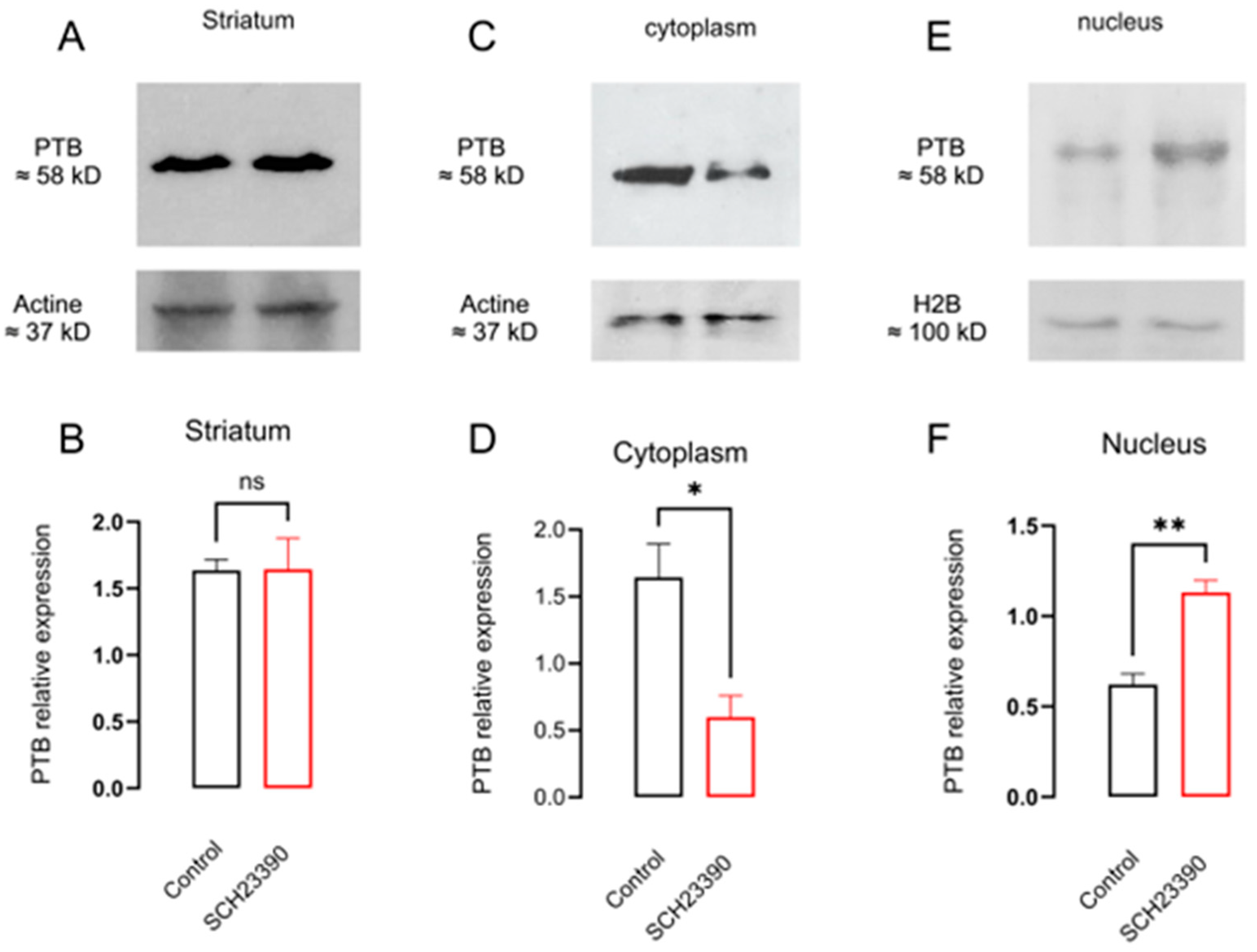 Biomedicines 12 00206 g006 Biomedicines 12 00206 g006
