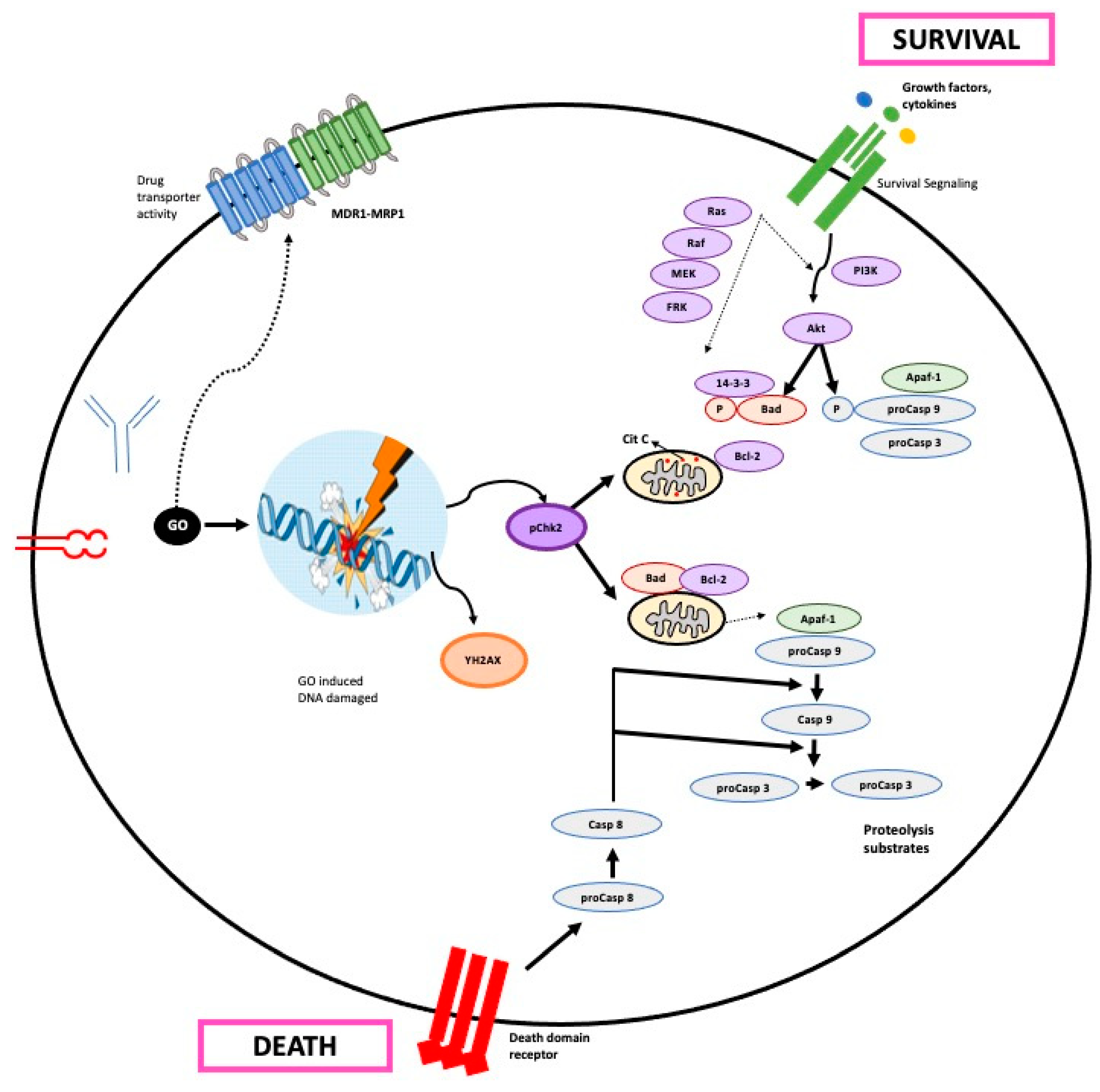Biomedicines 12 00208 g002