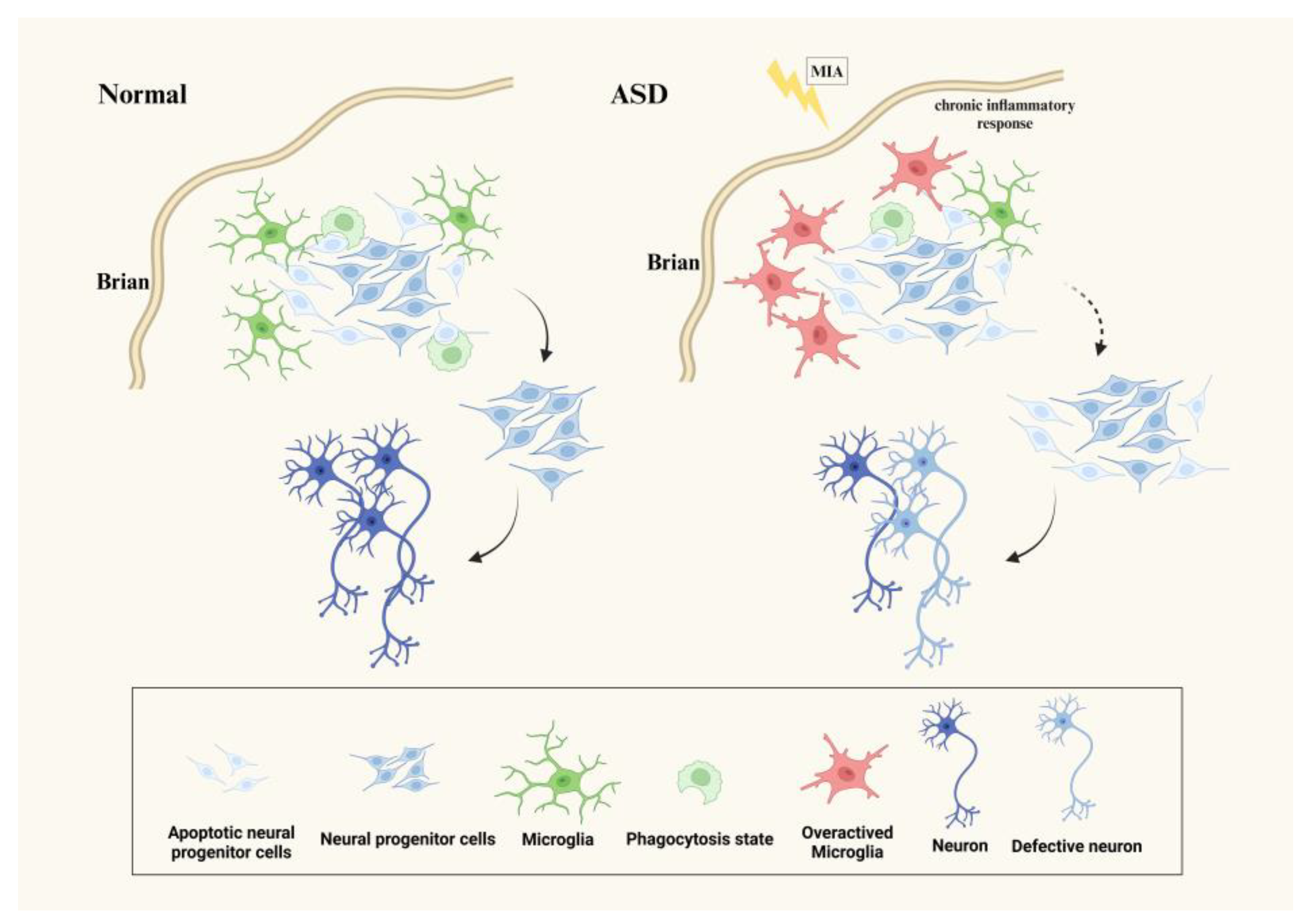 Biomedicines 12 00210 g001