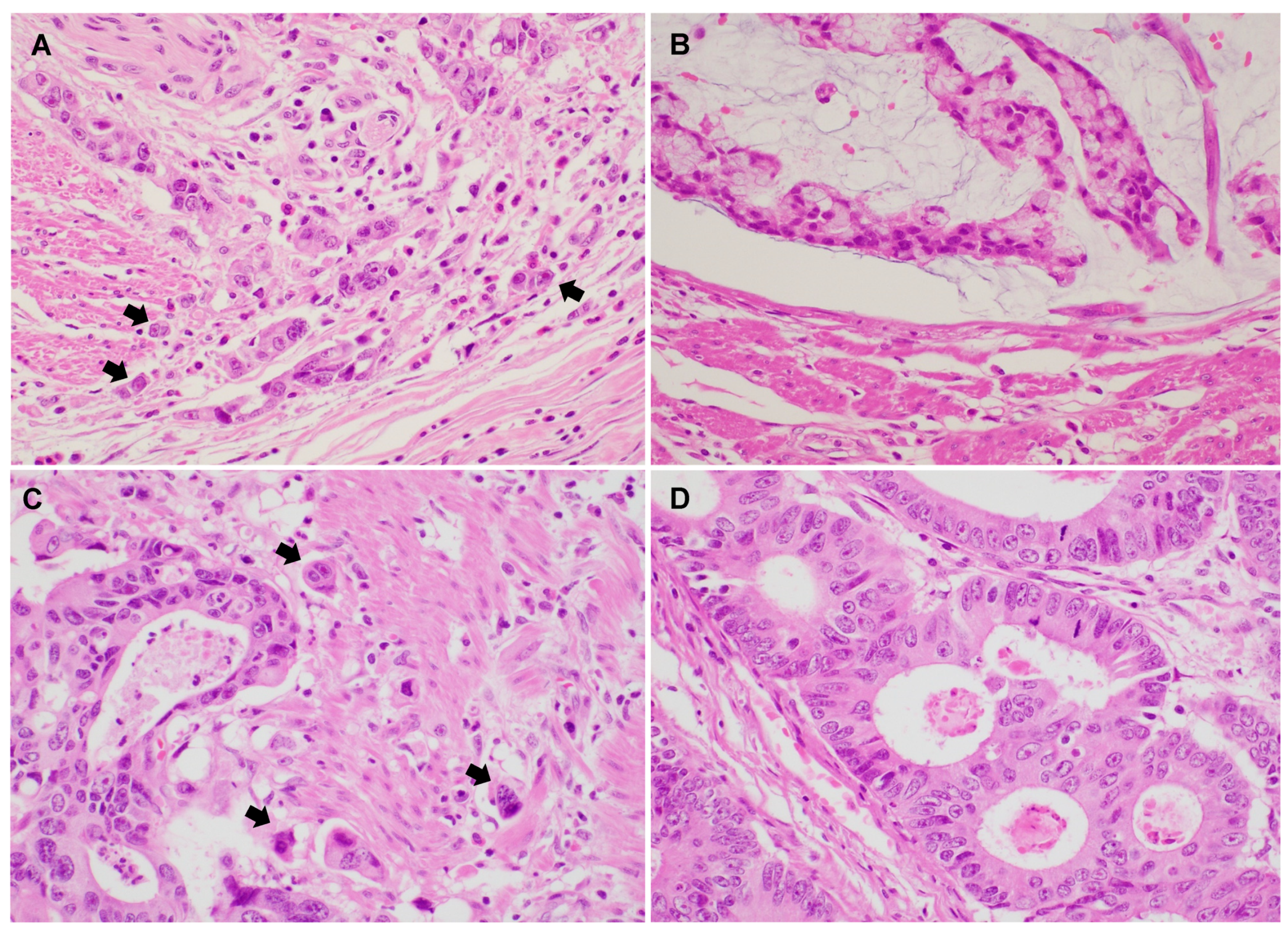 Biomedicines 12 00212 g001
