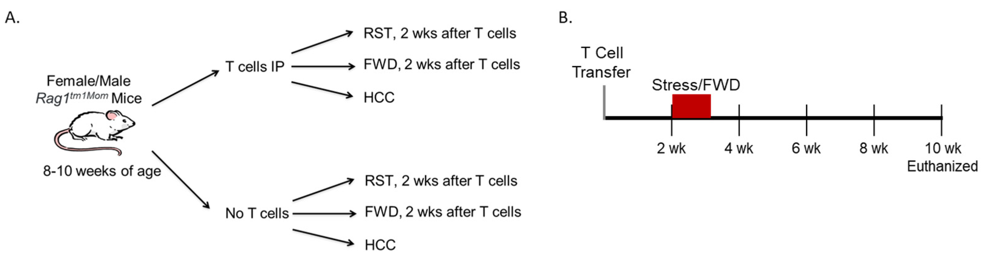 Biomedicines 12 00214 g001