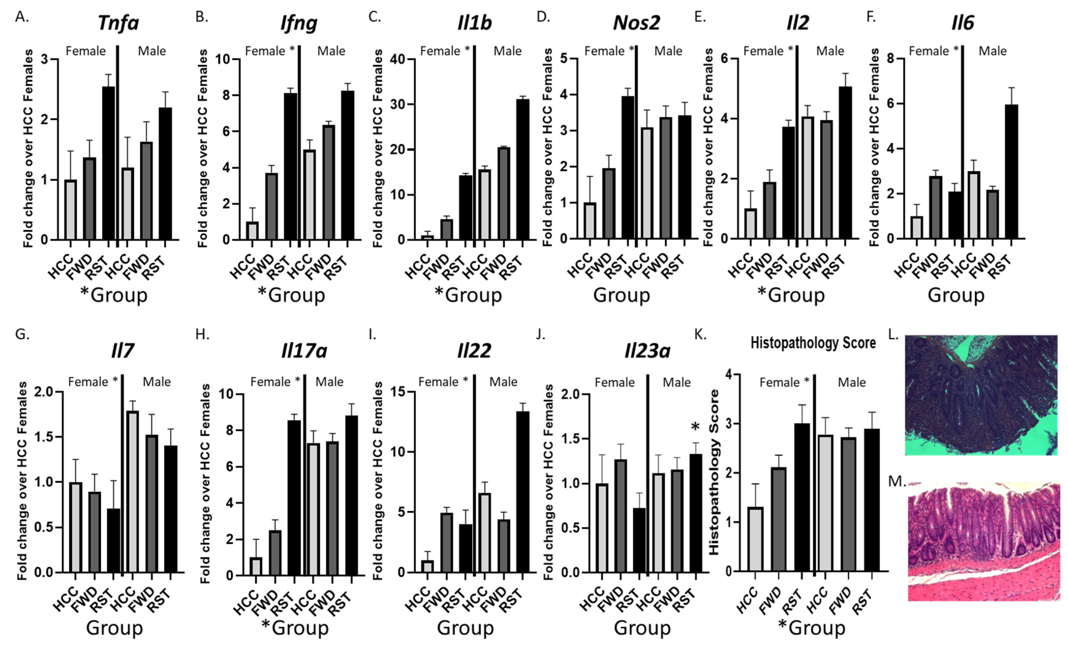 Biomedicines 12 00214 g003