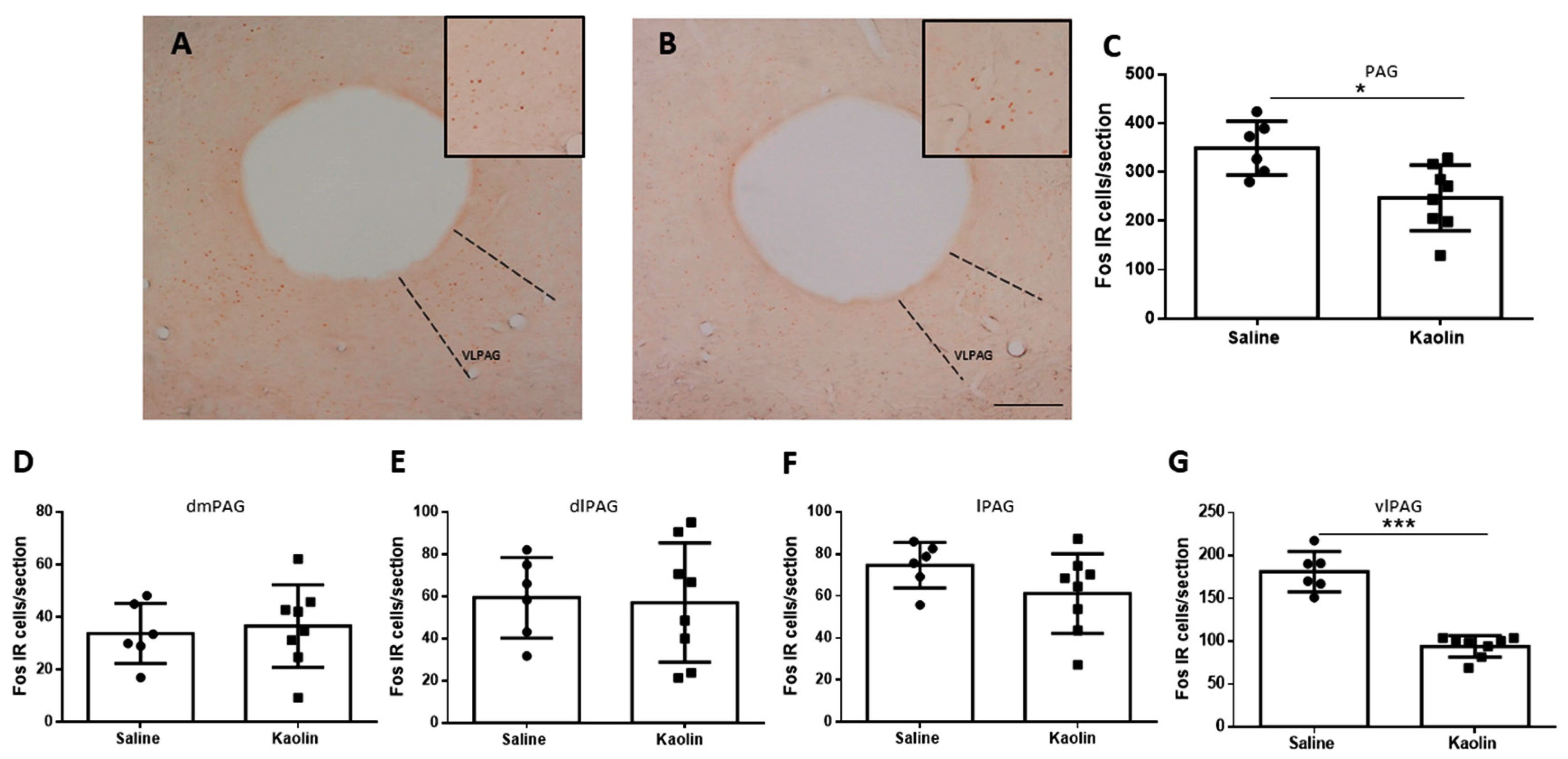Biomedicines 12 00215 g003 Biomedicines 12 00215 g003