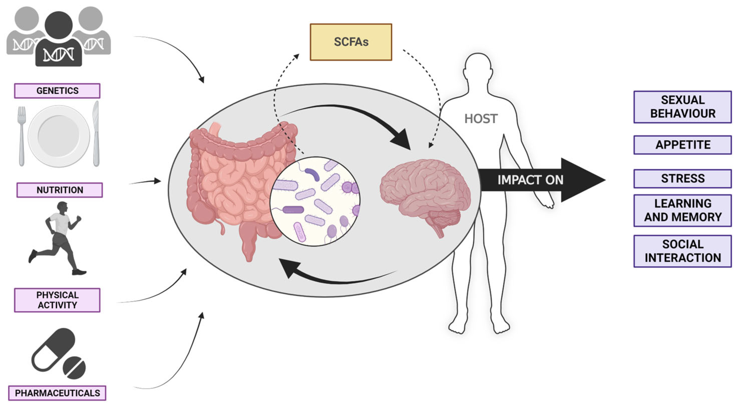 Biomedicines 12 00221 g001