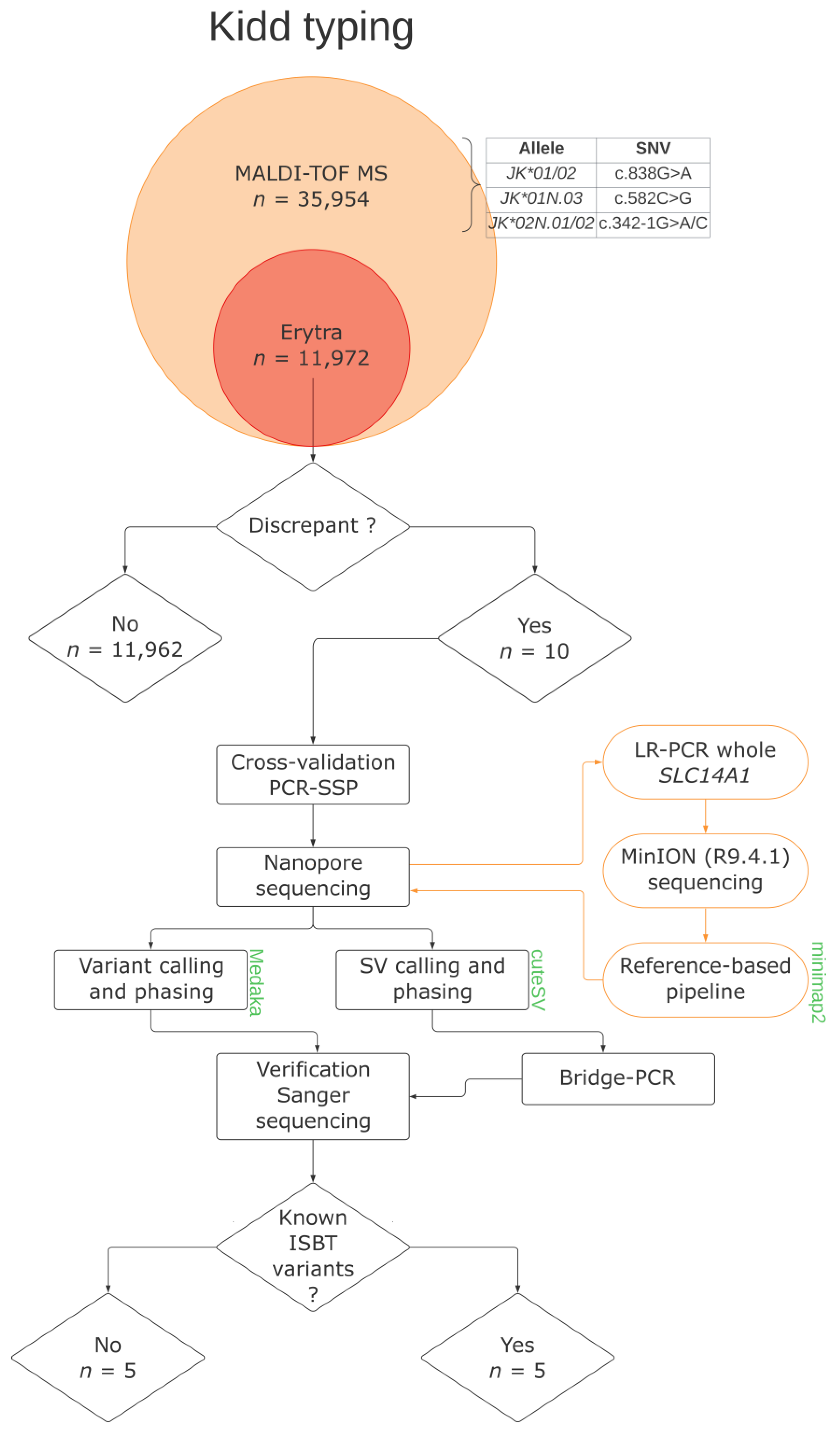 Biomedicines 12 00225 g001
