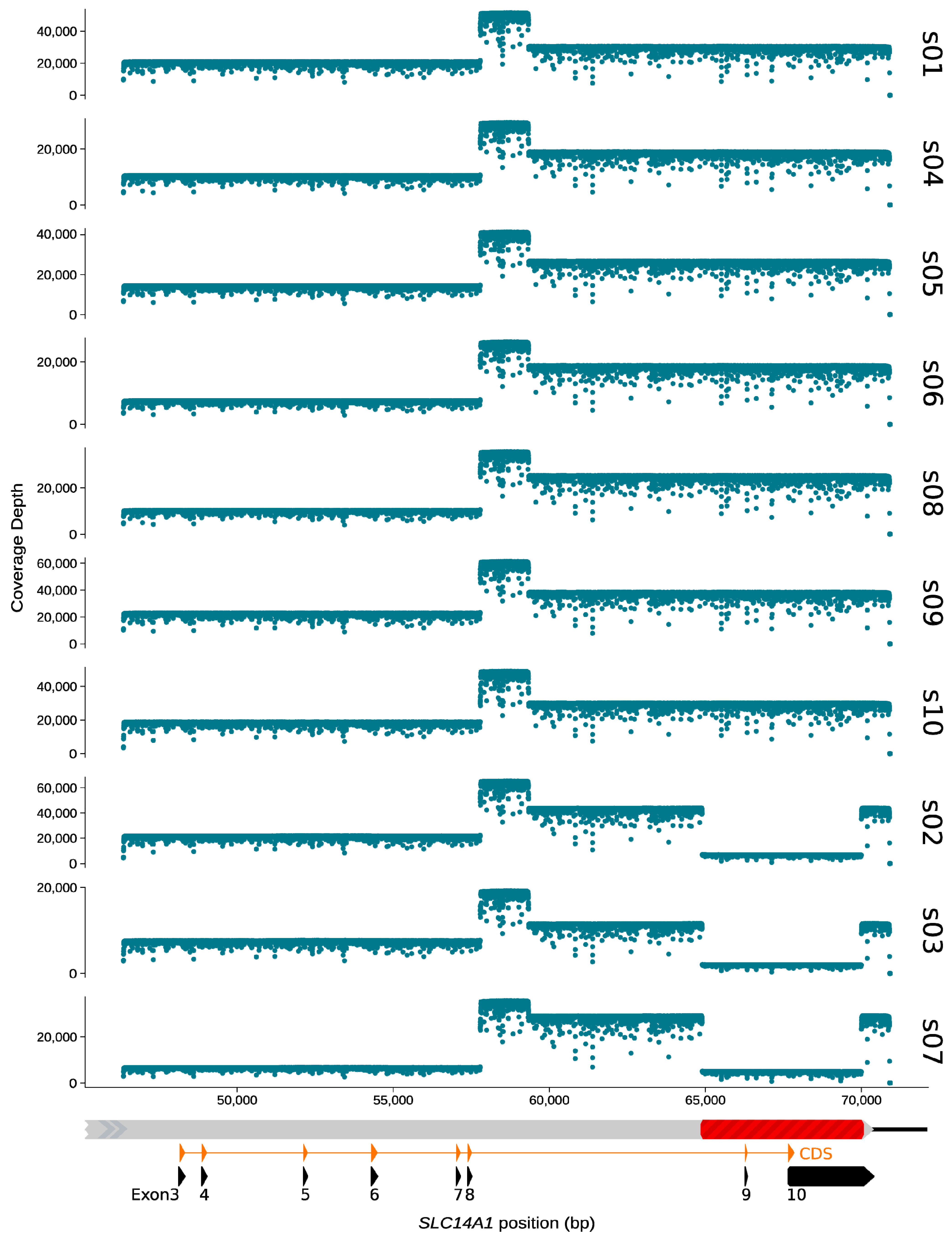 Biomedicines 12 00225 g003
