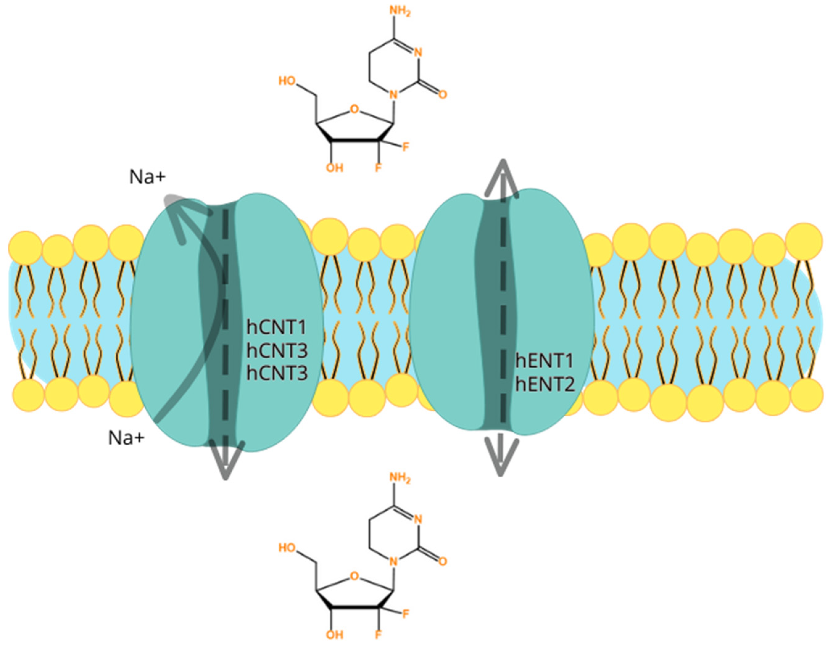 Biomedicines 12 00227 g002 Biomedicines 12 00227 g002