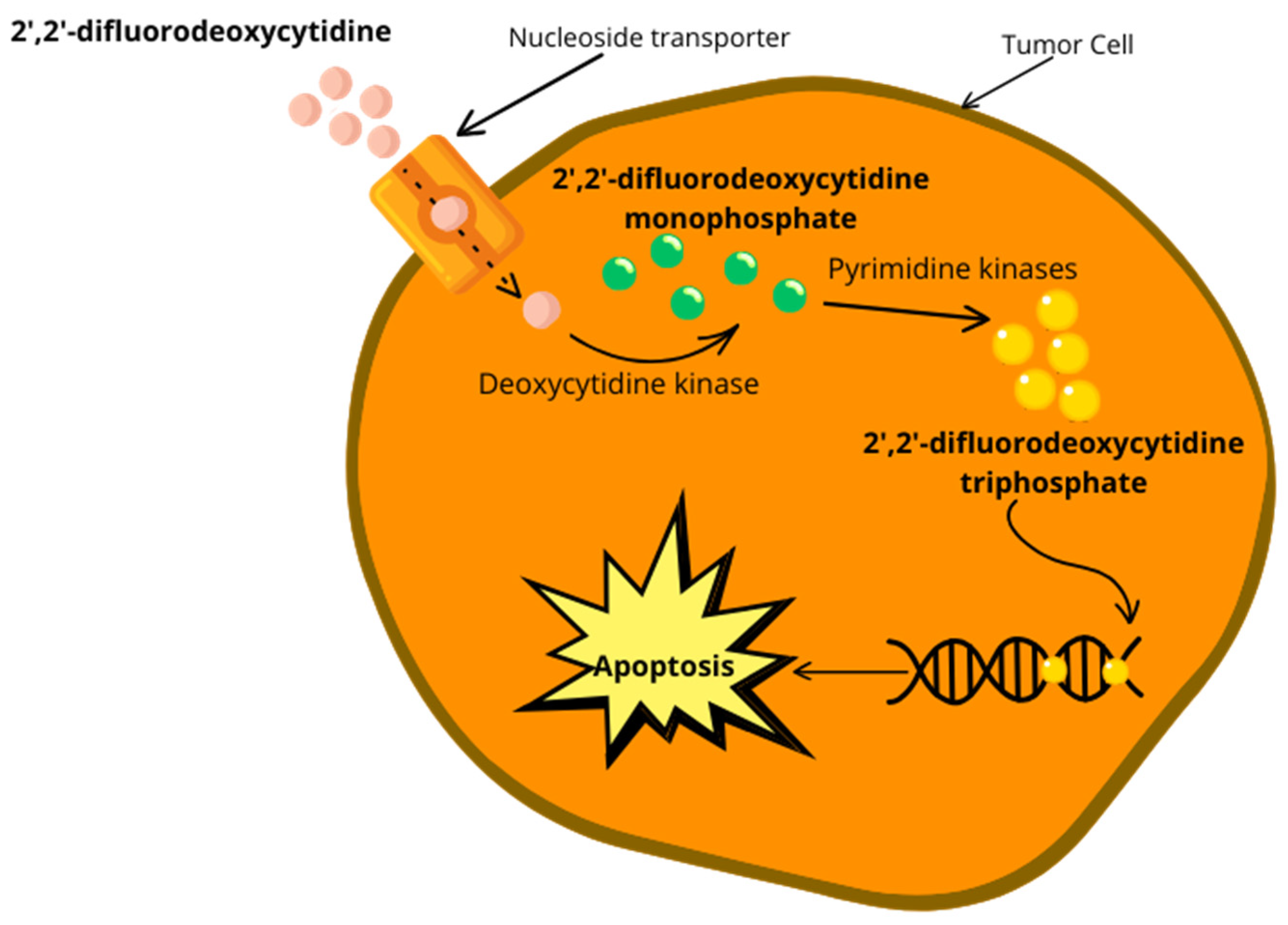 Biomedicines 12 00227 g003 Biomedicines 12 00227 g003