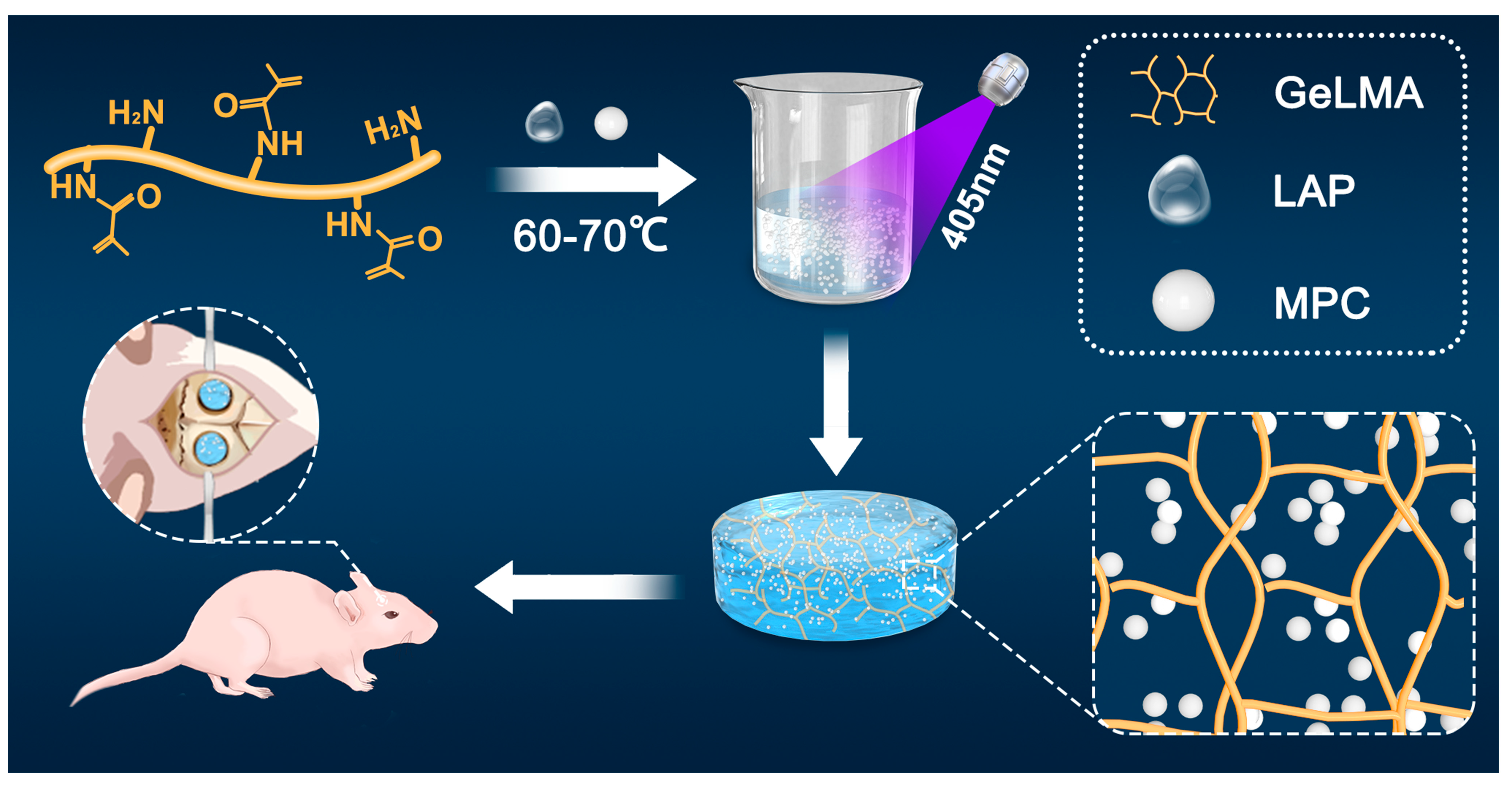 Biomedicines 12 00228 g001
