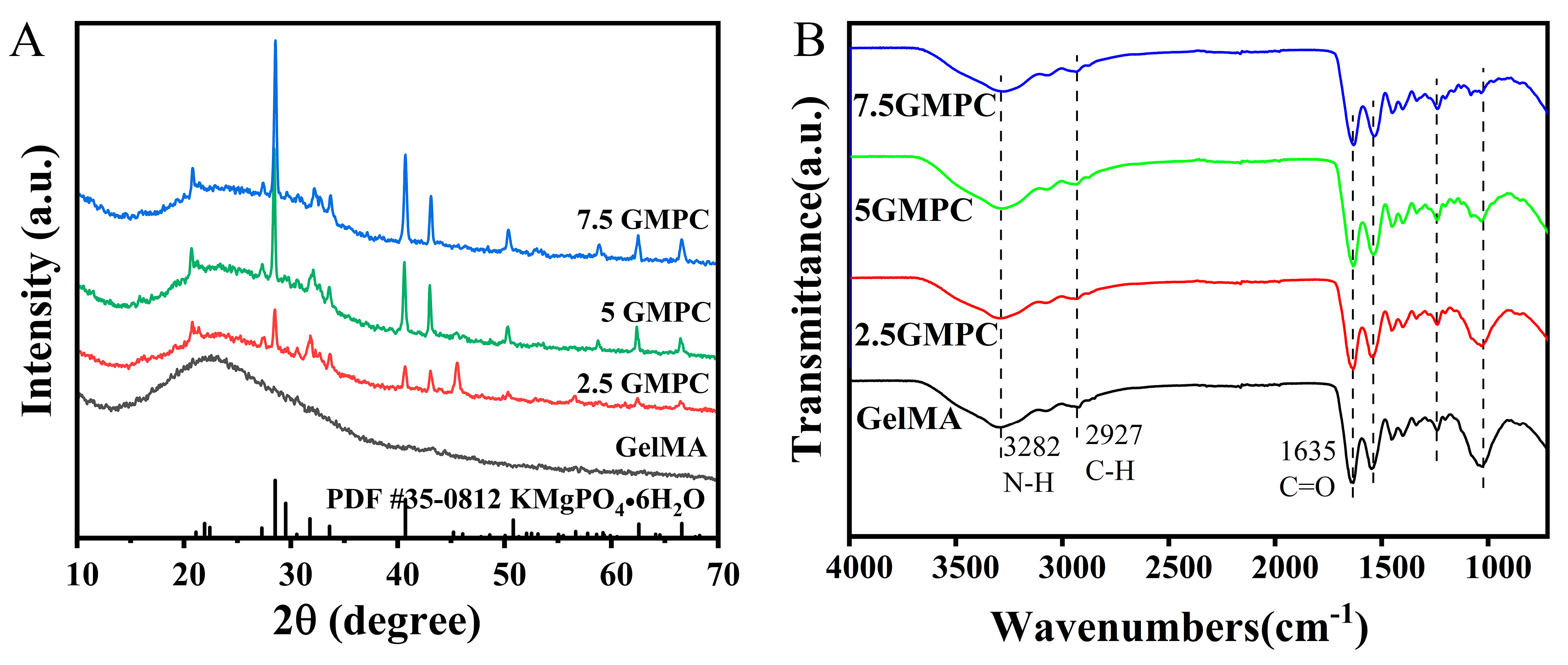 Biomedicines 12 00228 g002