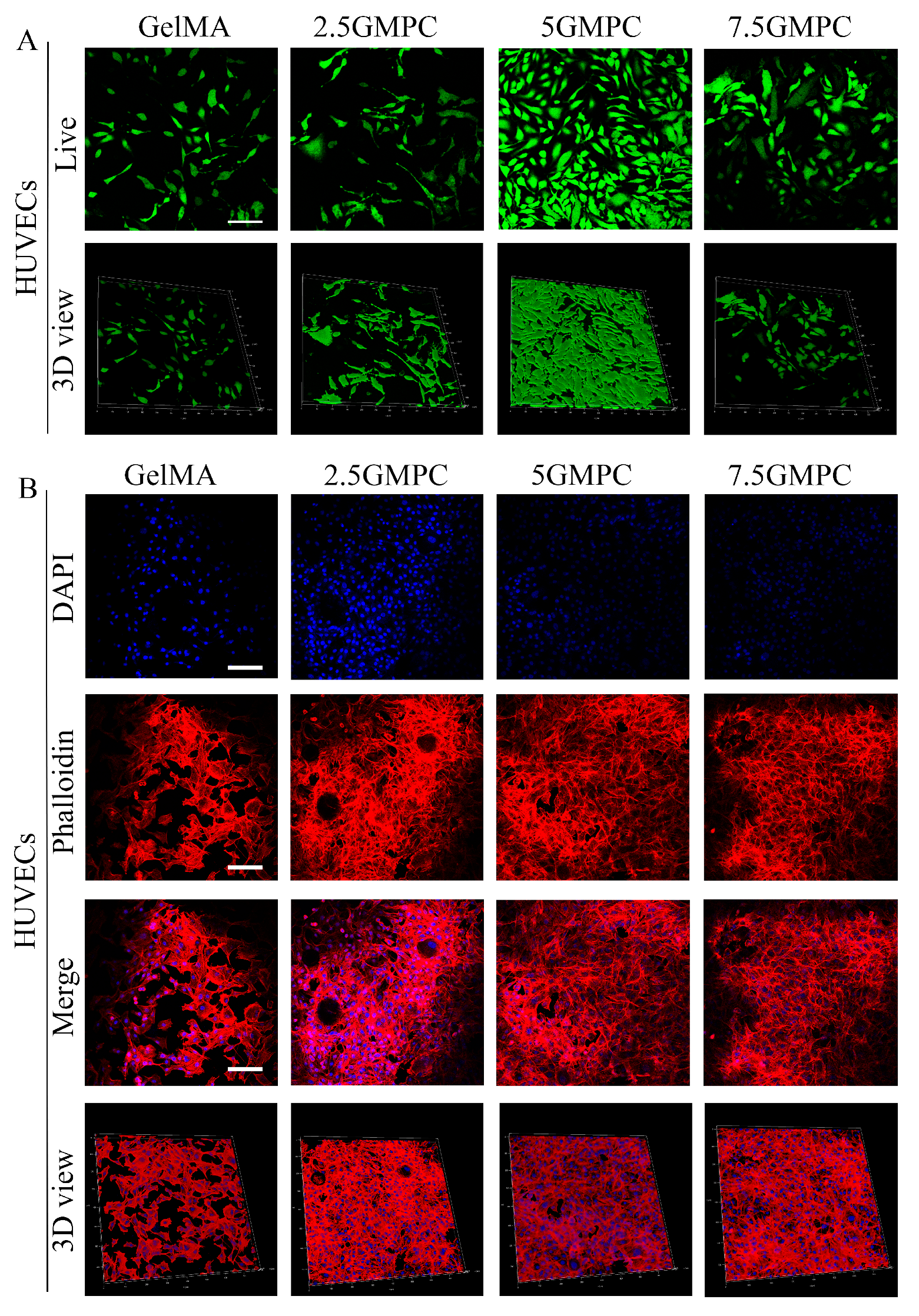 Biomedicines 12 00228 g004