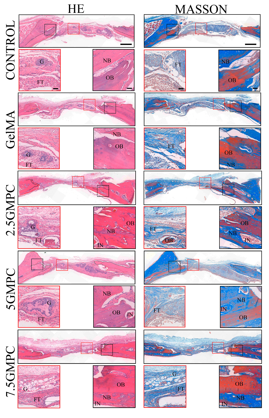Biomedicines 12 00228 g007