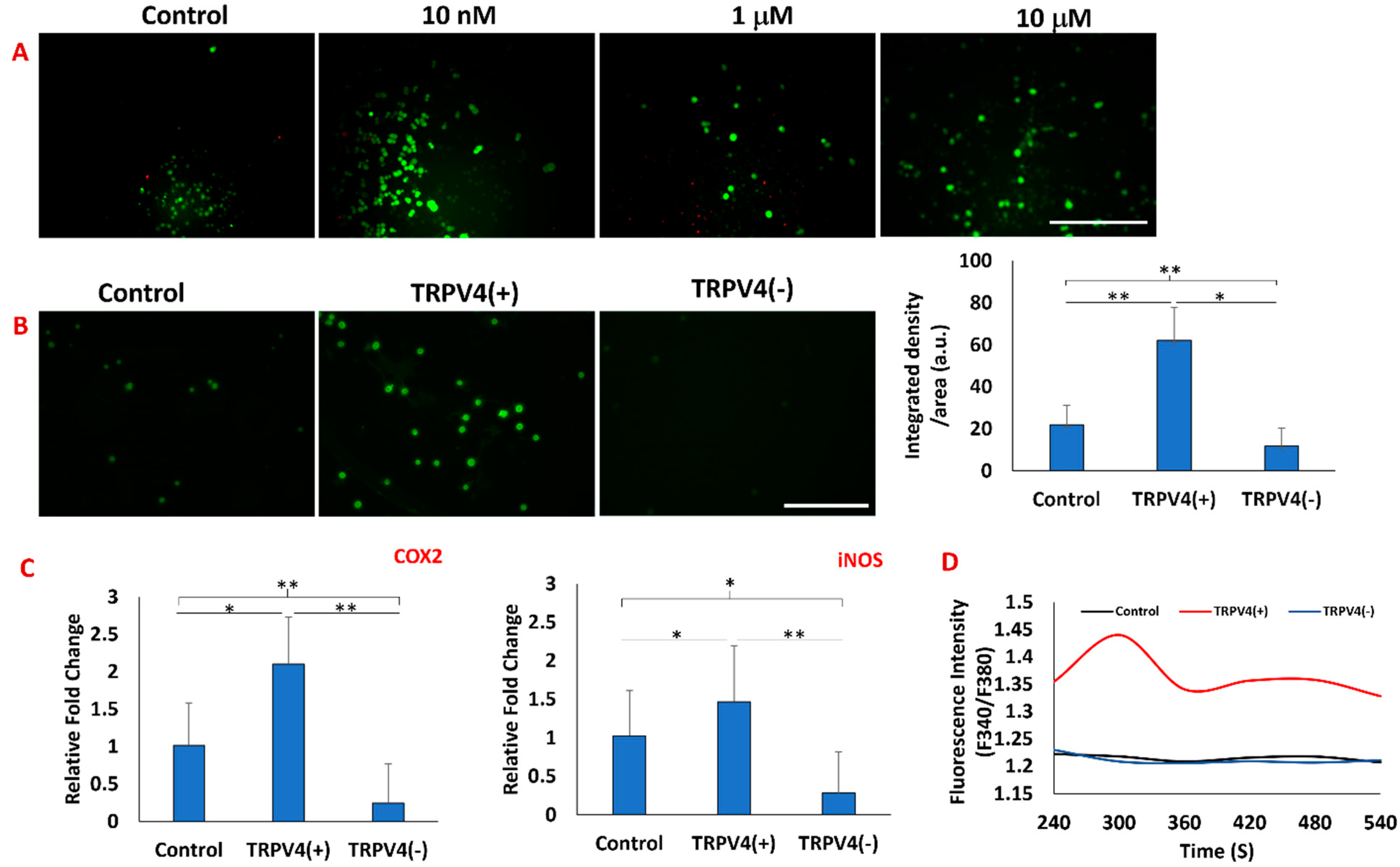 Biomedicines 12 00230 g002