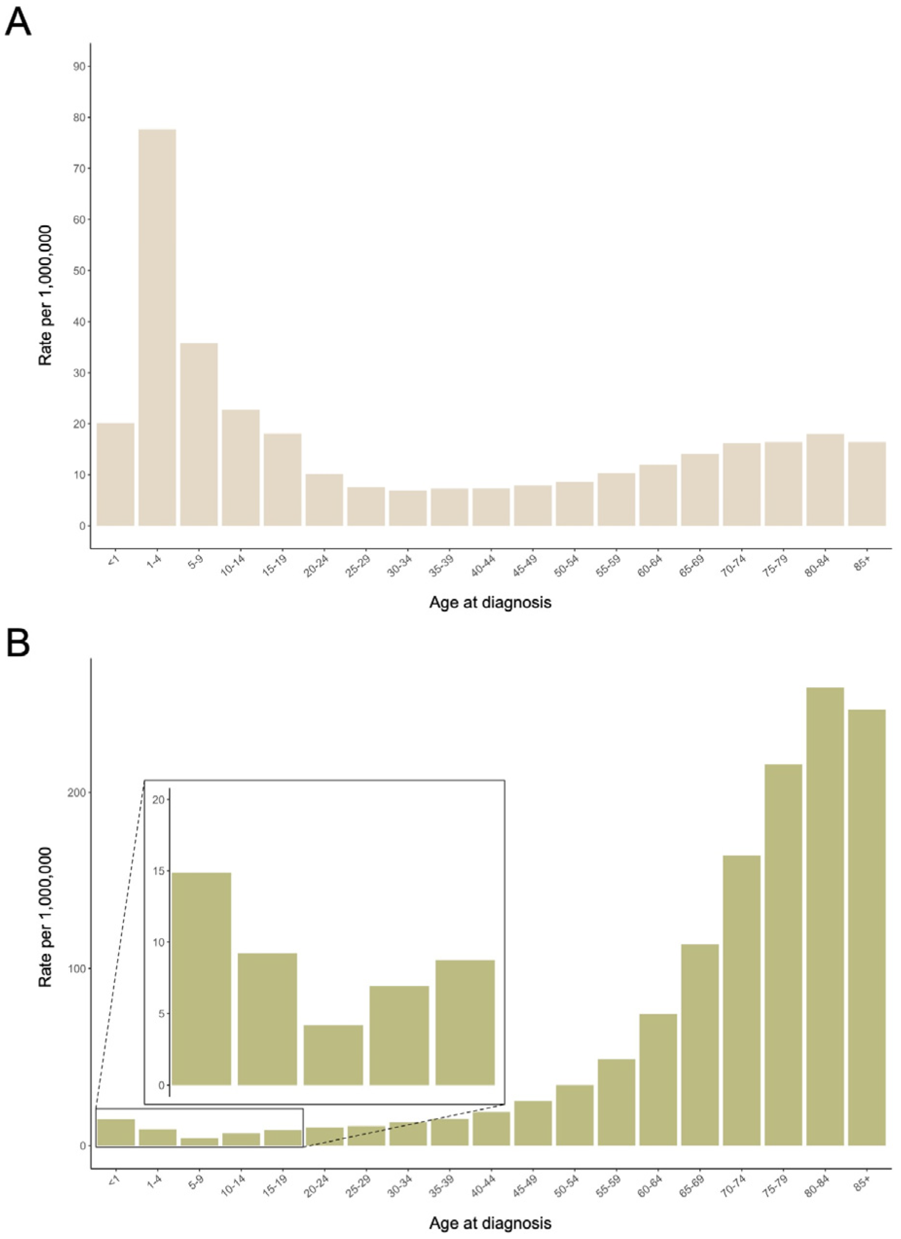 Biomedicines 12 00236 g001 Biomedicines 12 00236 g001