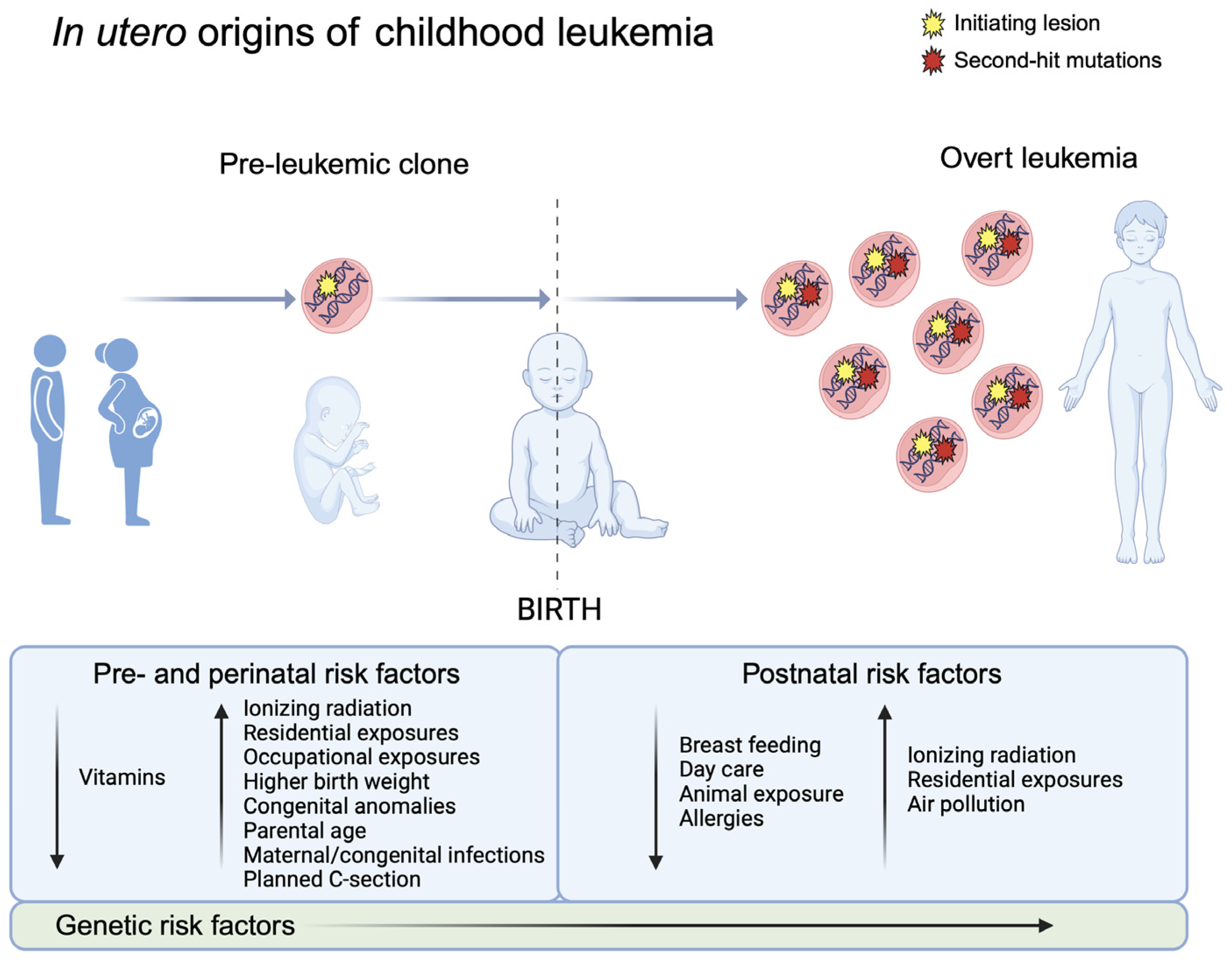 Biomedicines 12 00236 g004 Biomedicines 12 00236 g004