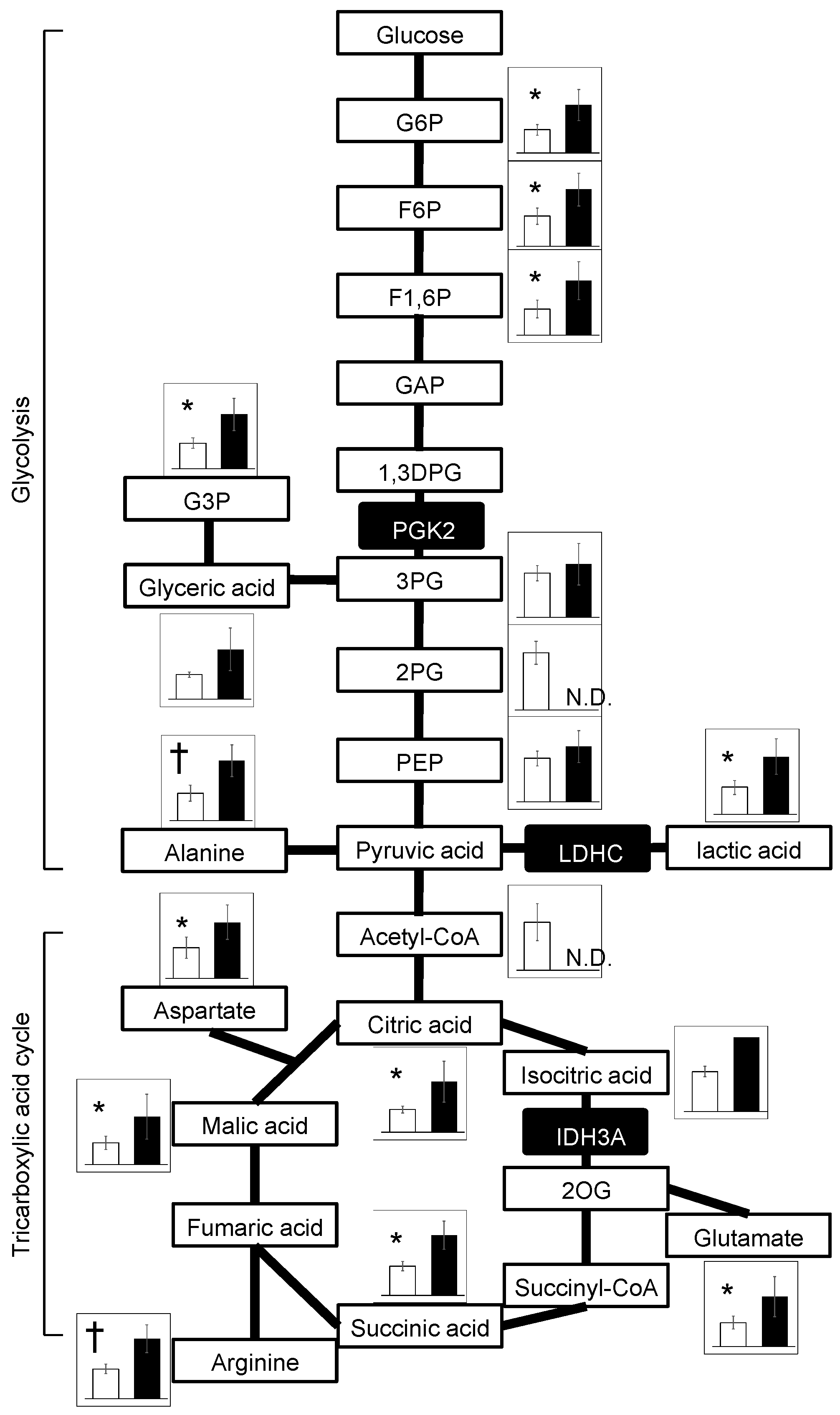 Biomedicines 12 00240 g004