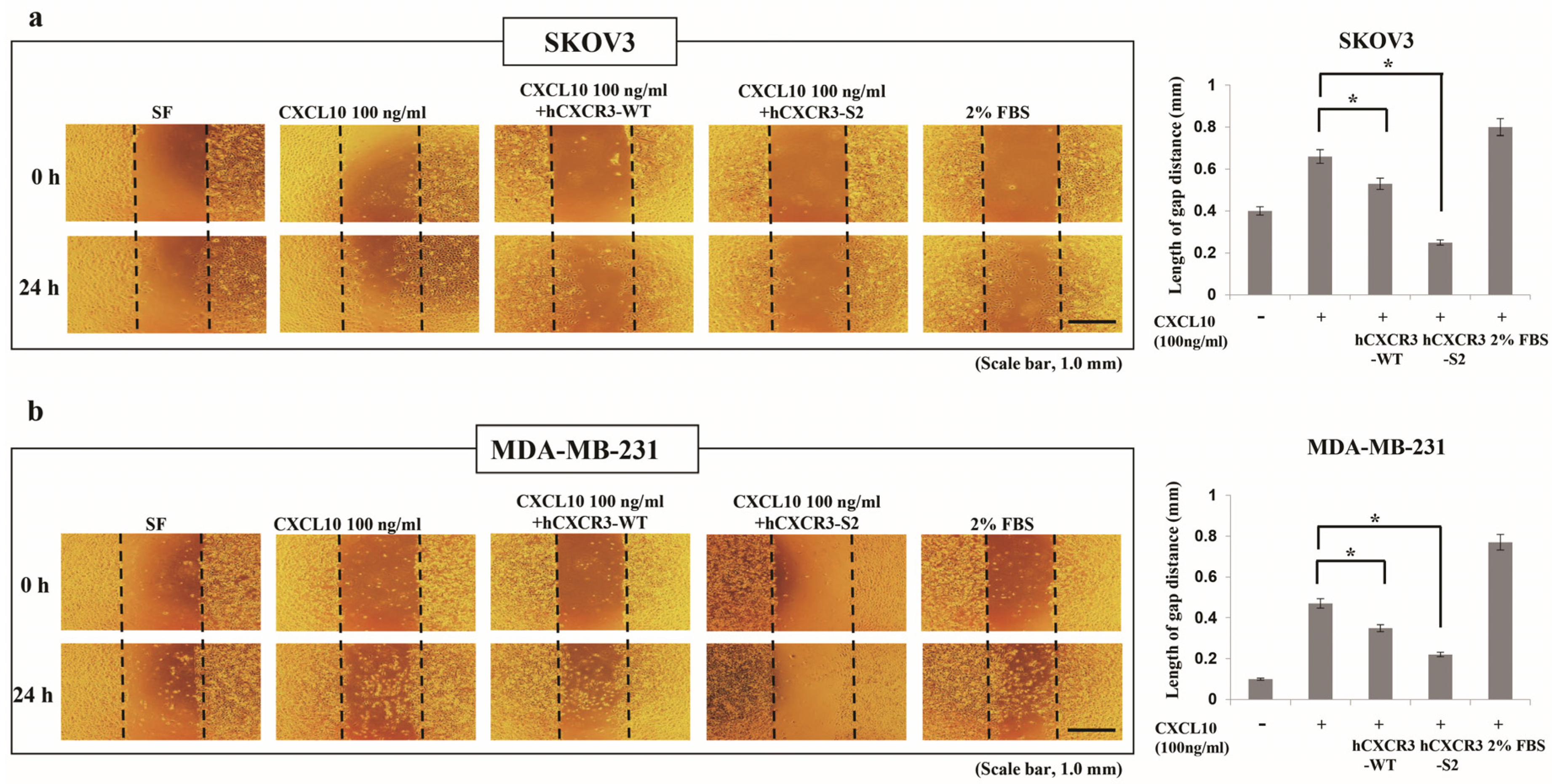 Biomedicines 12 00241 g002a Biomedicines 12 00241 g002a