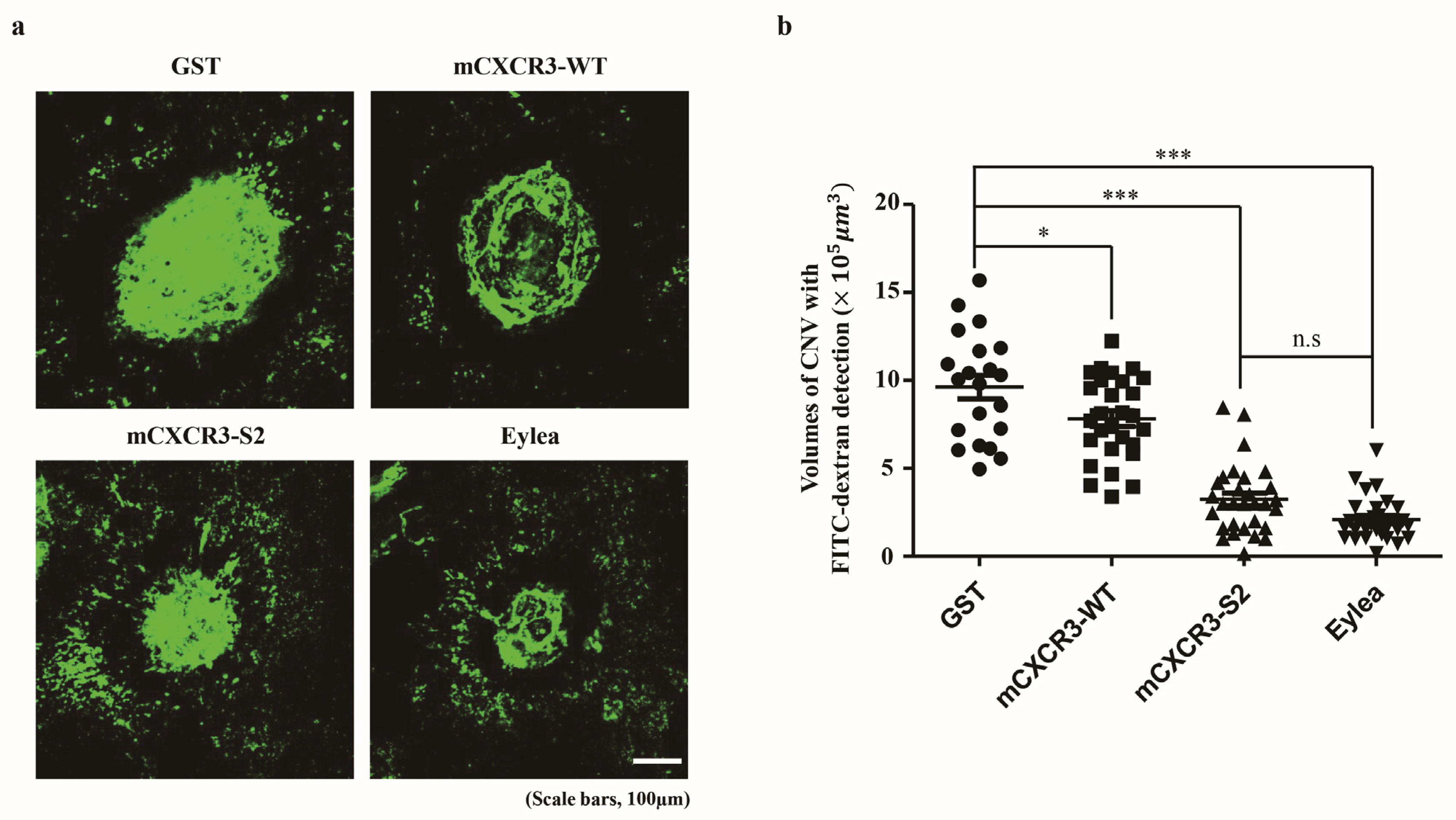 Biomedicines 12 00241 g003 Biomedicines 12 00241 g003