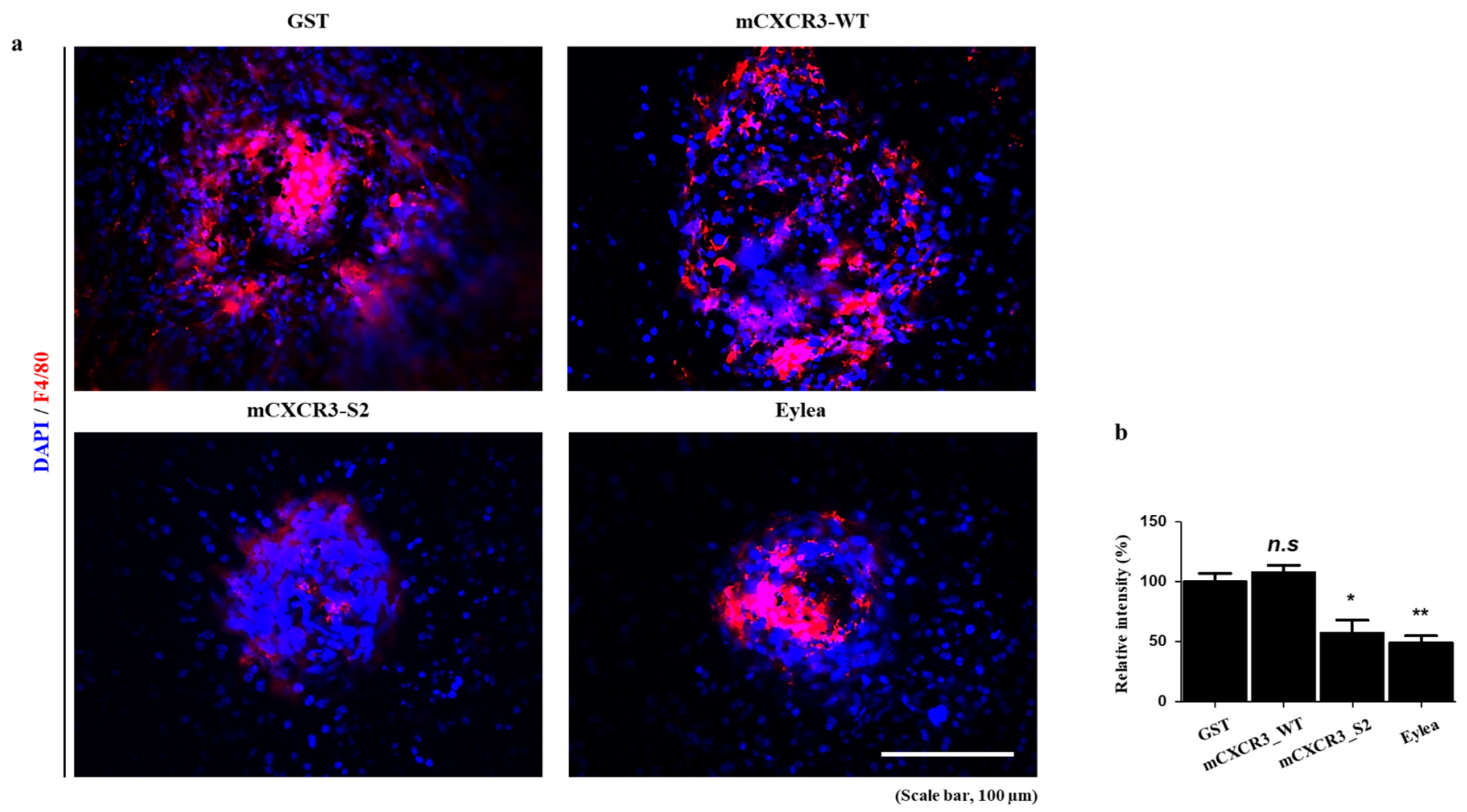 Biomedicines 12 00241 g004 Biomedicines 12 00241 g004