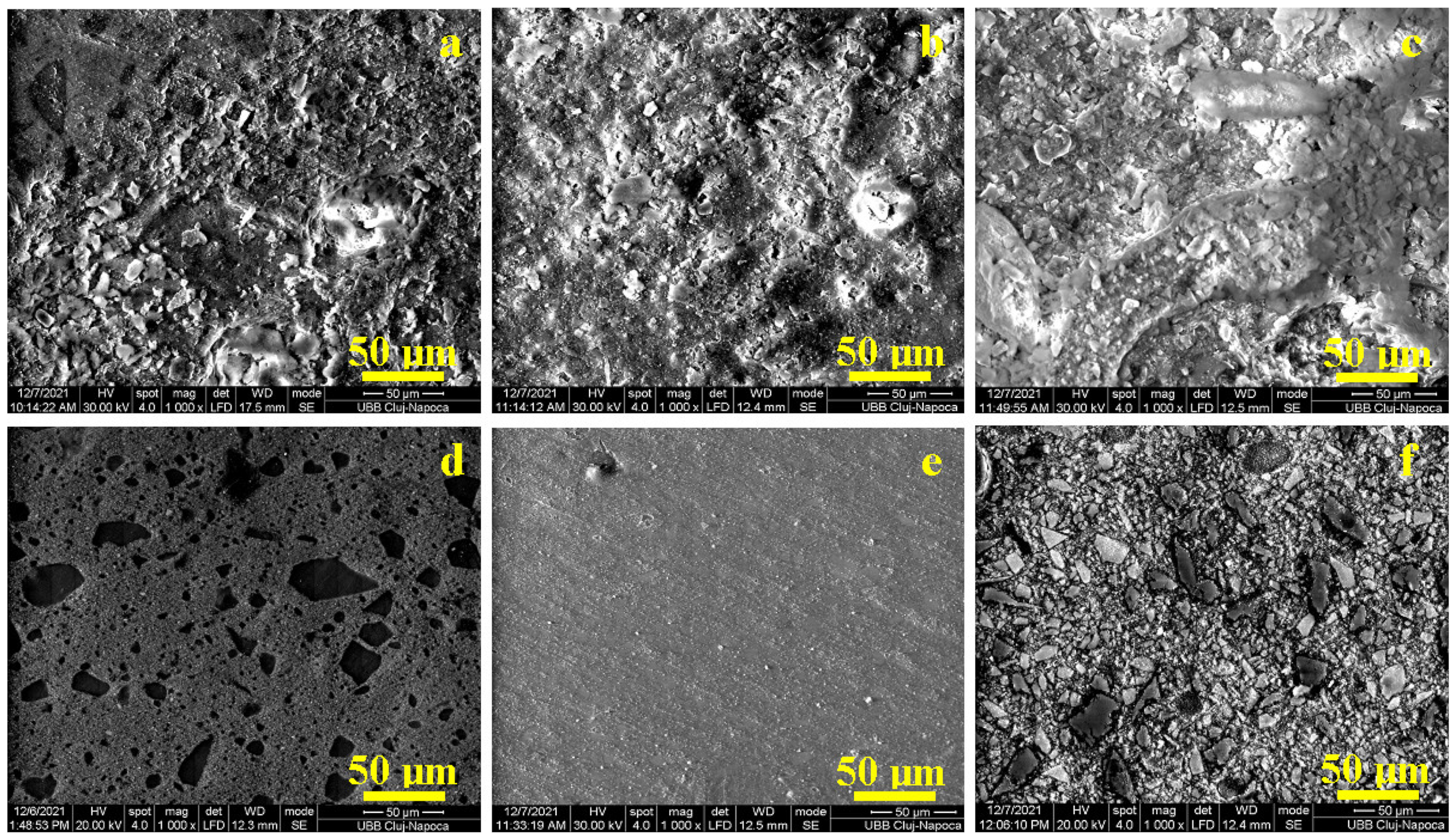 Biomedicines 12 00243 g001