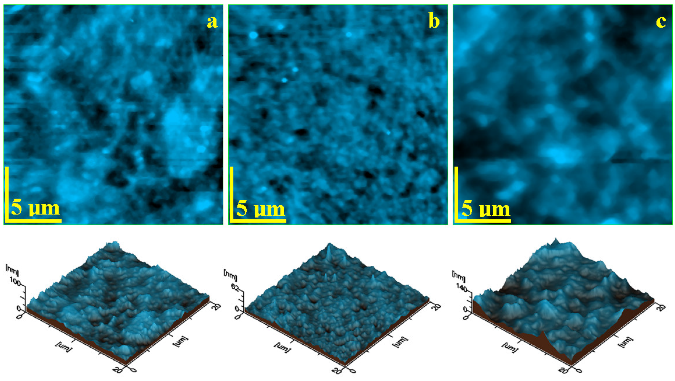 Biomedicines 12 00243 g002