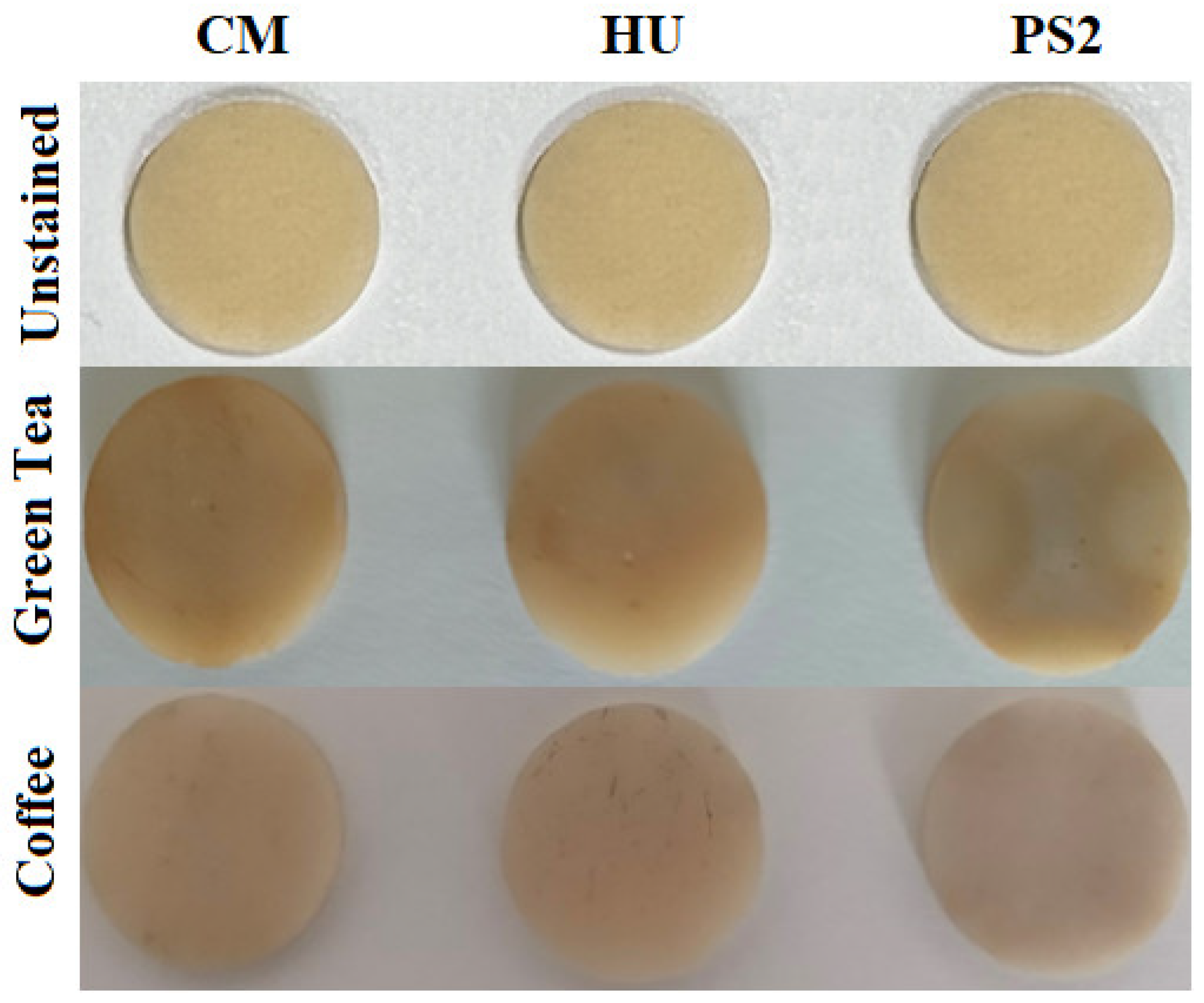 Biomedicines 12 00243 g008