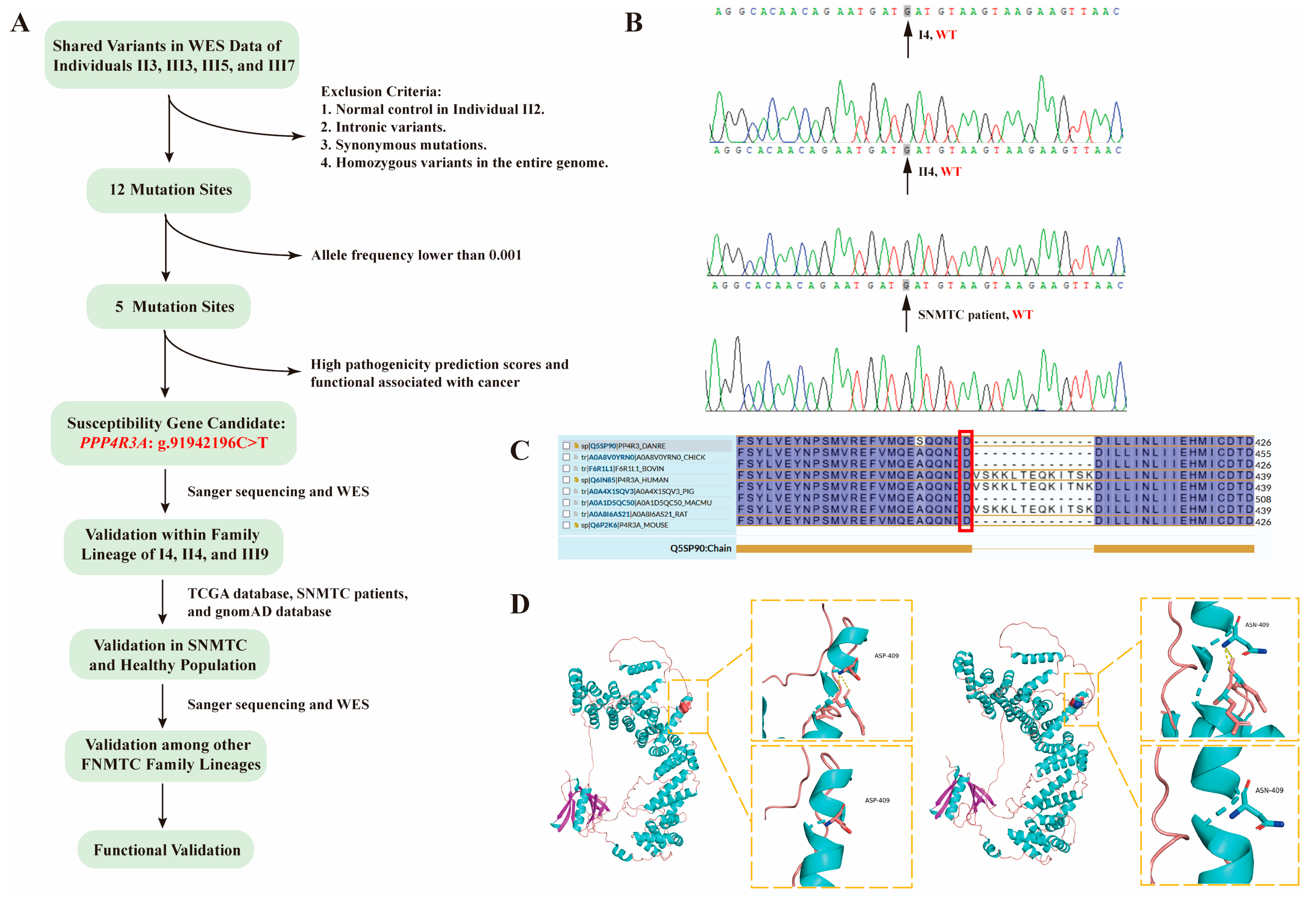 Biomedicines 12 00244 g002 Biomedicines 12 00244 g002