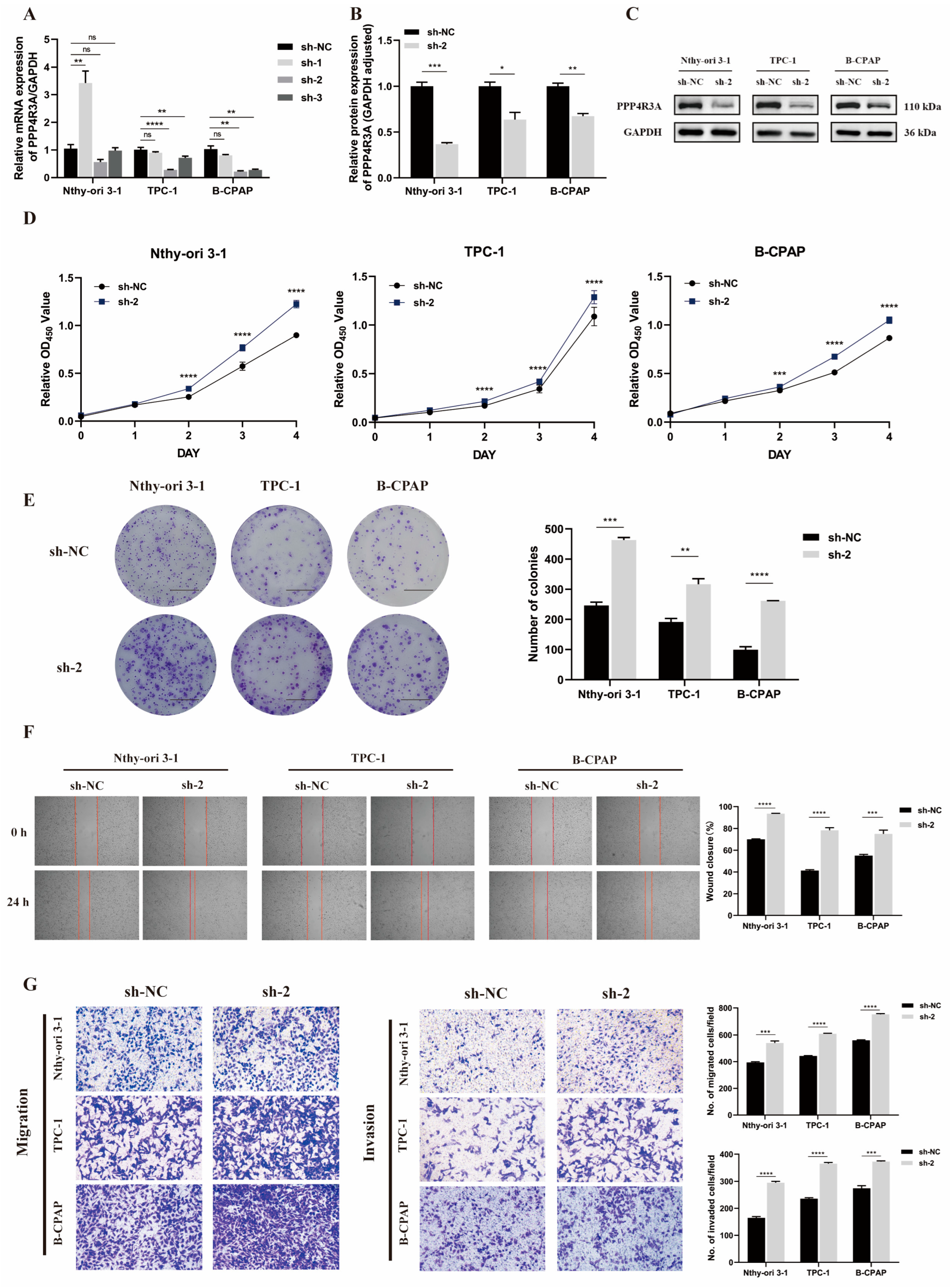 Biomedicines 12 00244 g003 Biomedicines 12 00244 g003