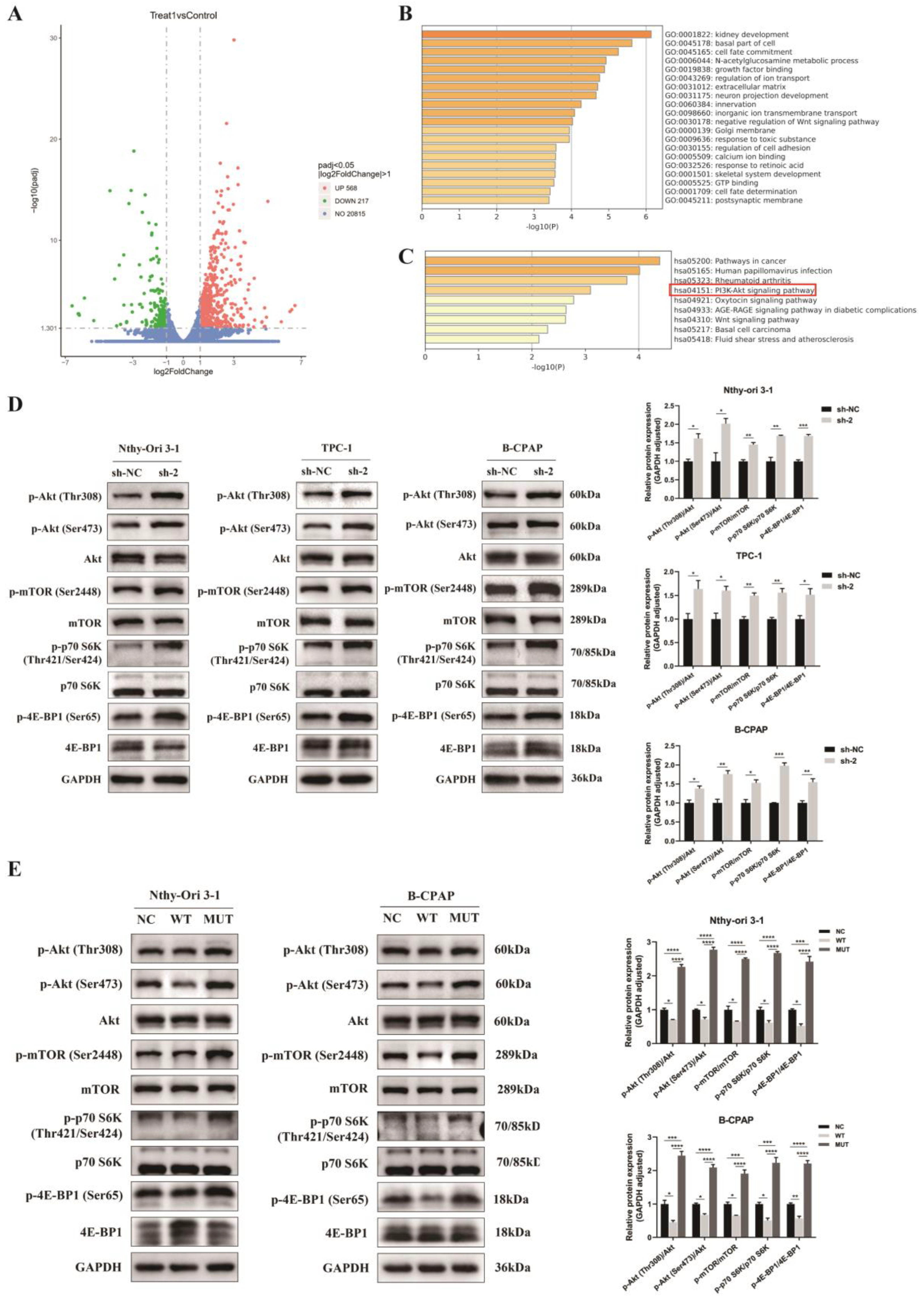 Biomedicines 12 00244 g006 Biomedicines 12 00244 g006