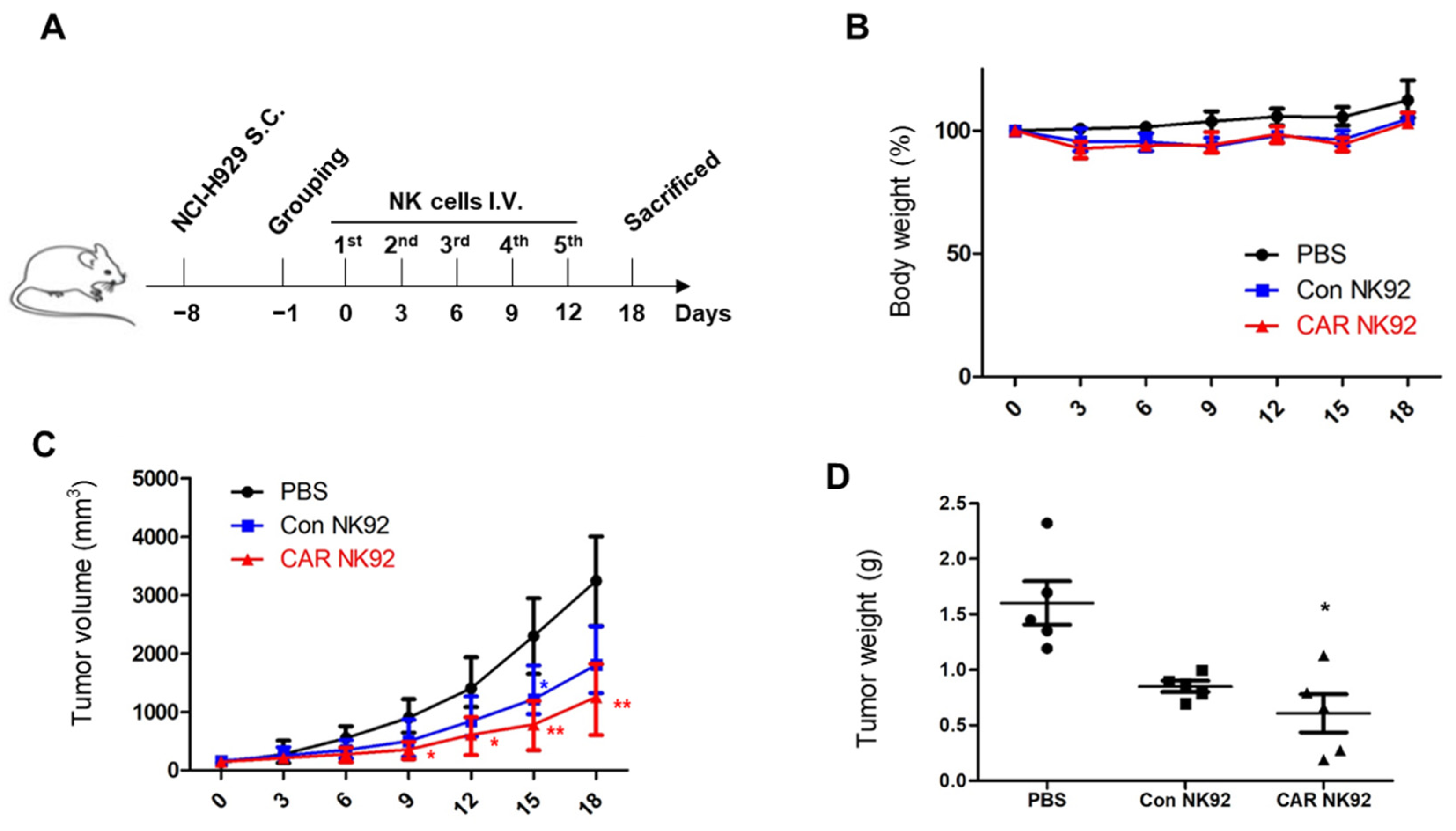 Biomedicines 12 00248 g005