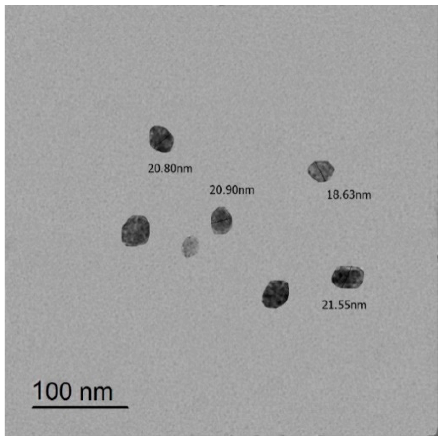 Biomedicines 12 00251 g001