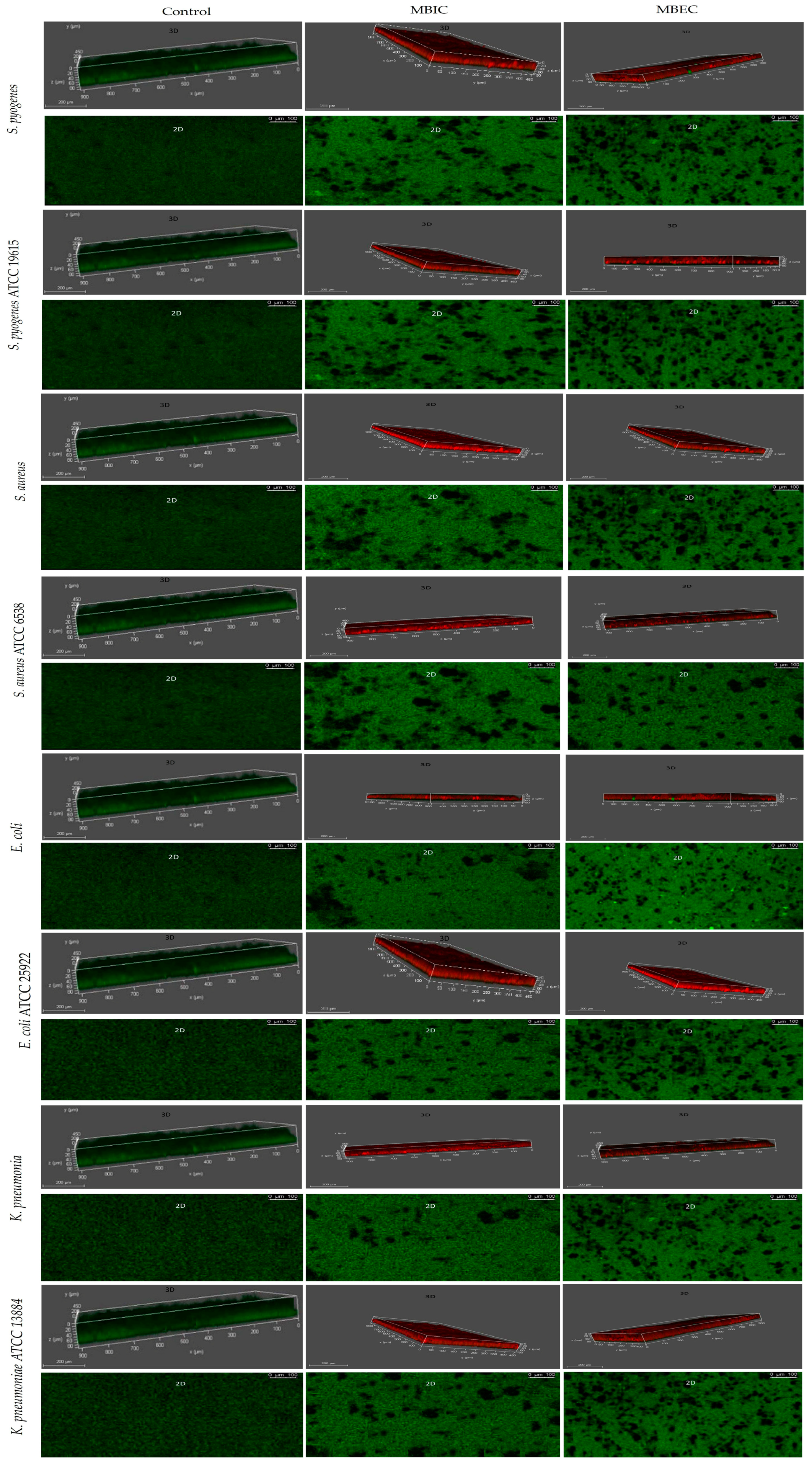Biomedicines 12 00251 g002