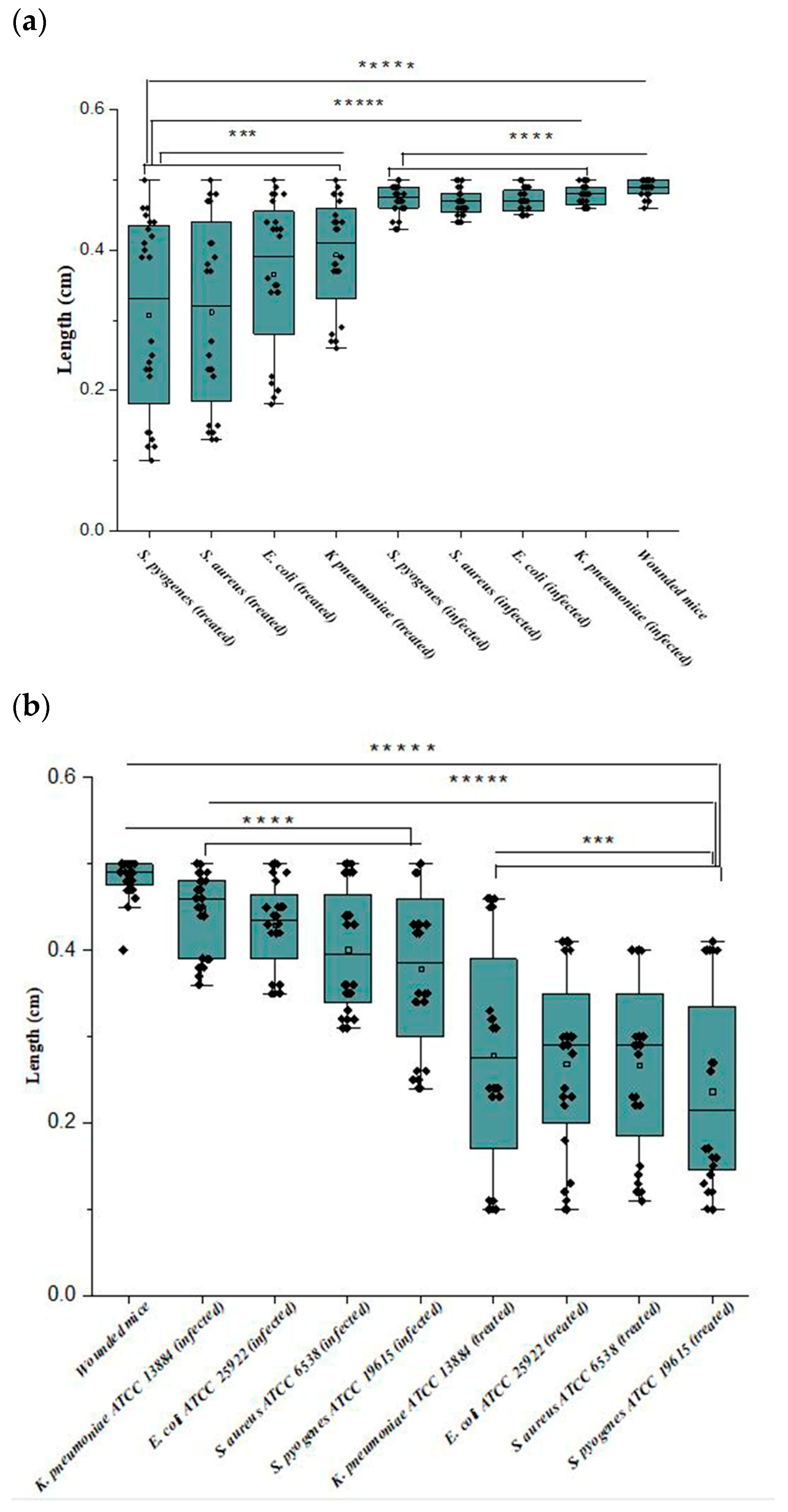 Biomedicines 12 00251 g006