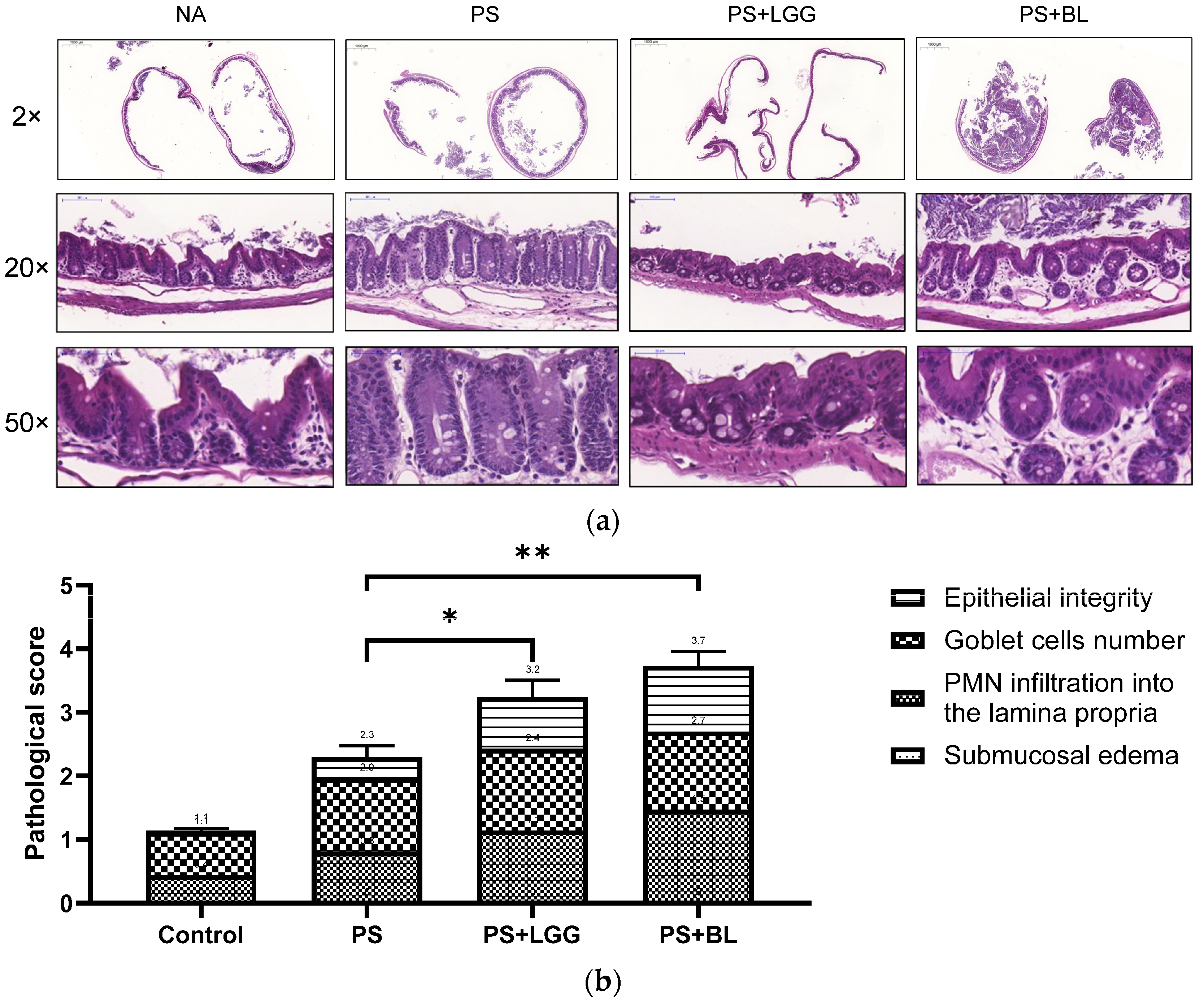 Biomedicines 12 00253 g002