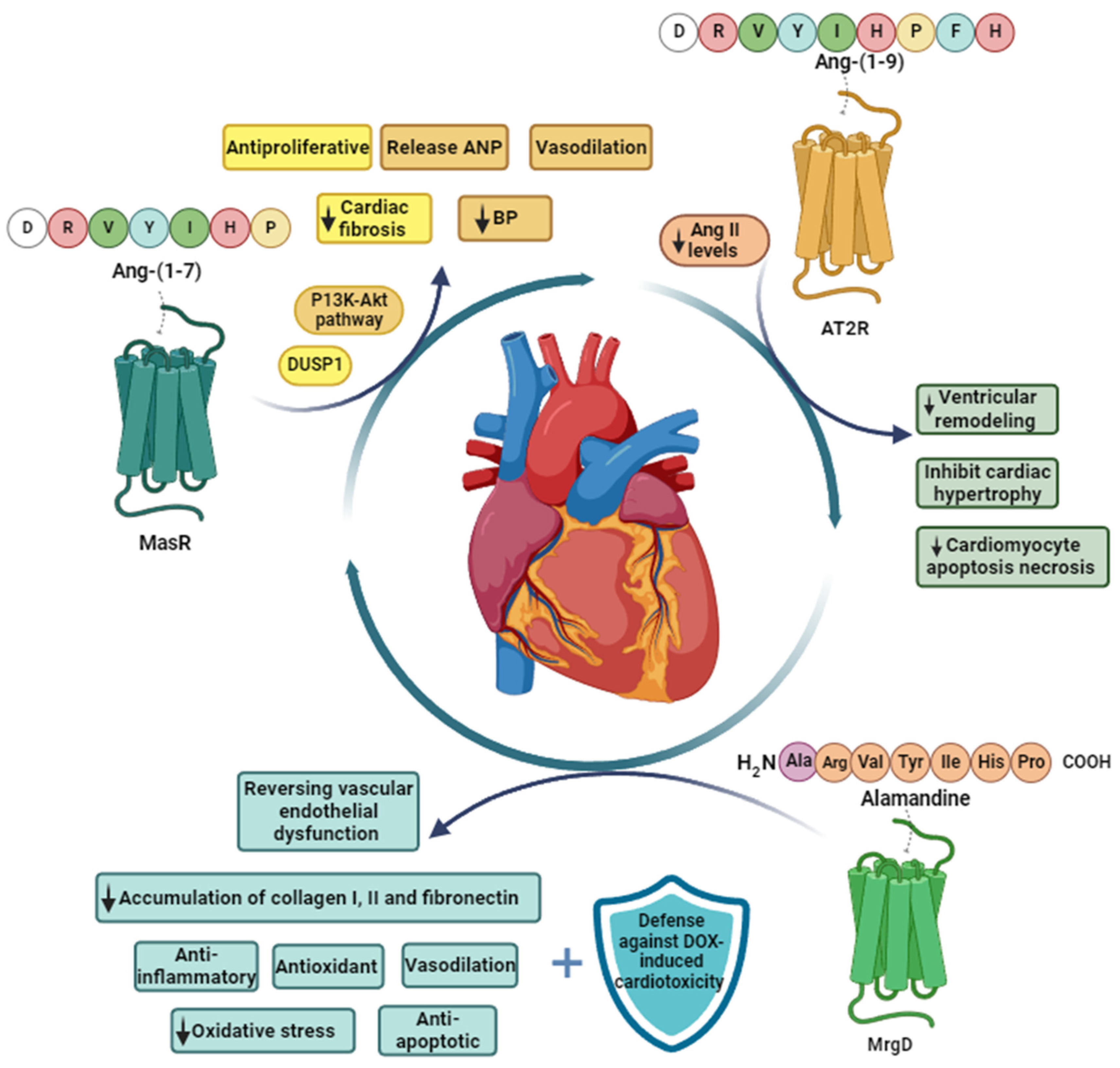 Biomedicines 12 00255 g003