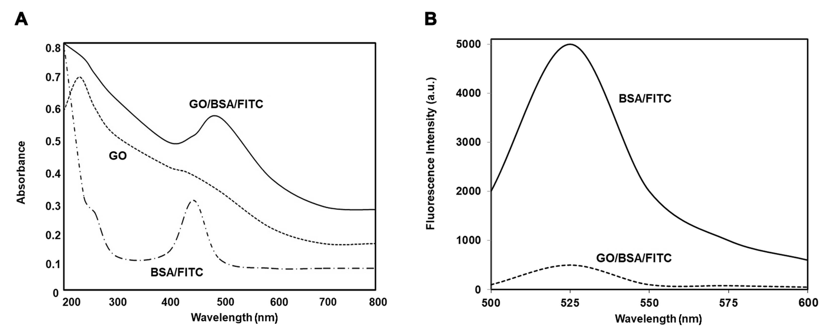 Biomedicines 12 00256 g002