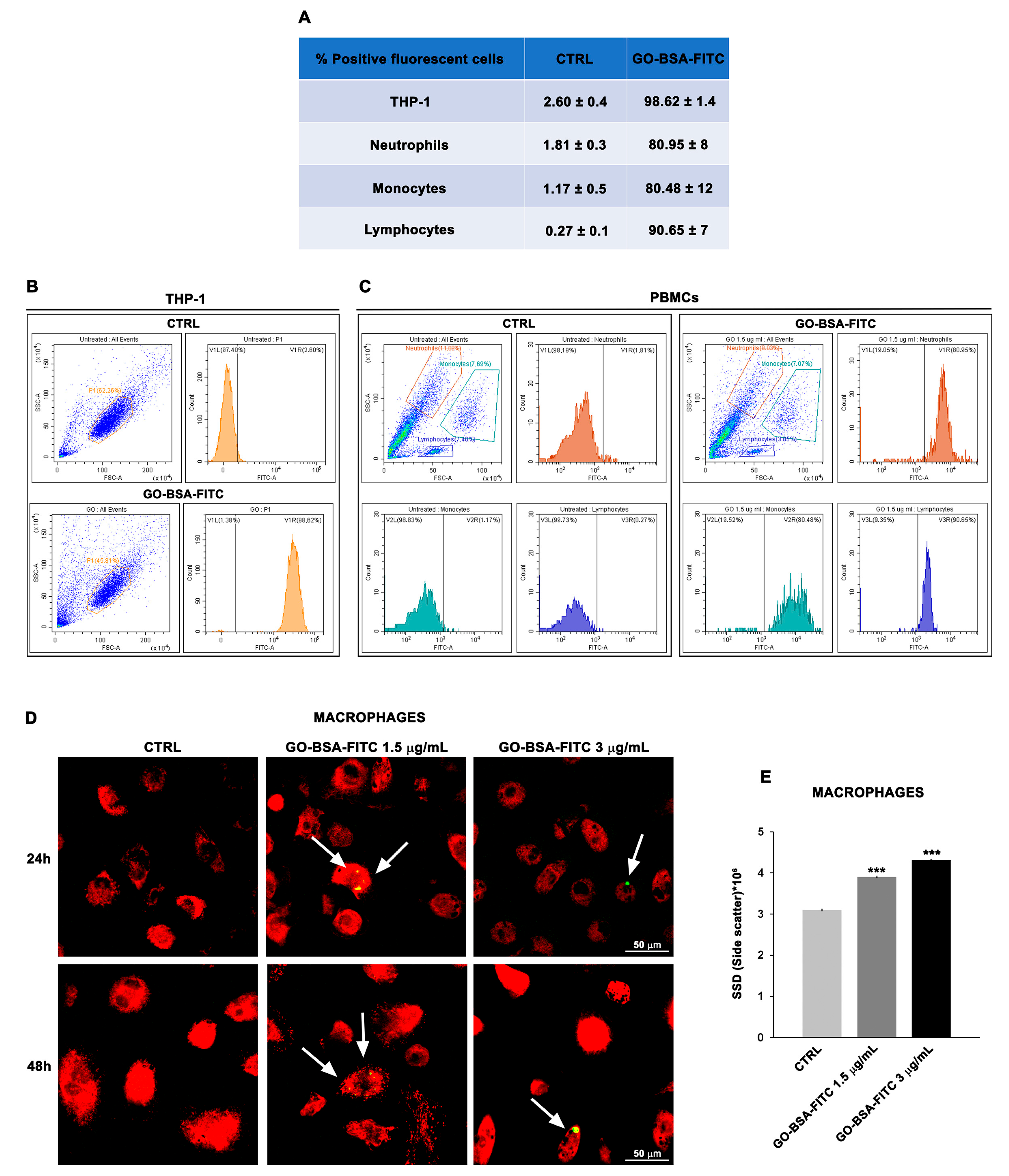 Biomedicines 12 00256 g003