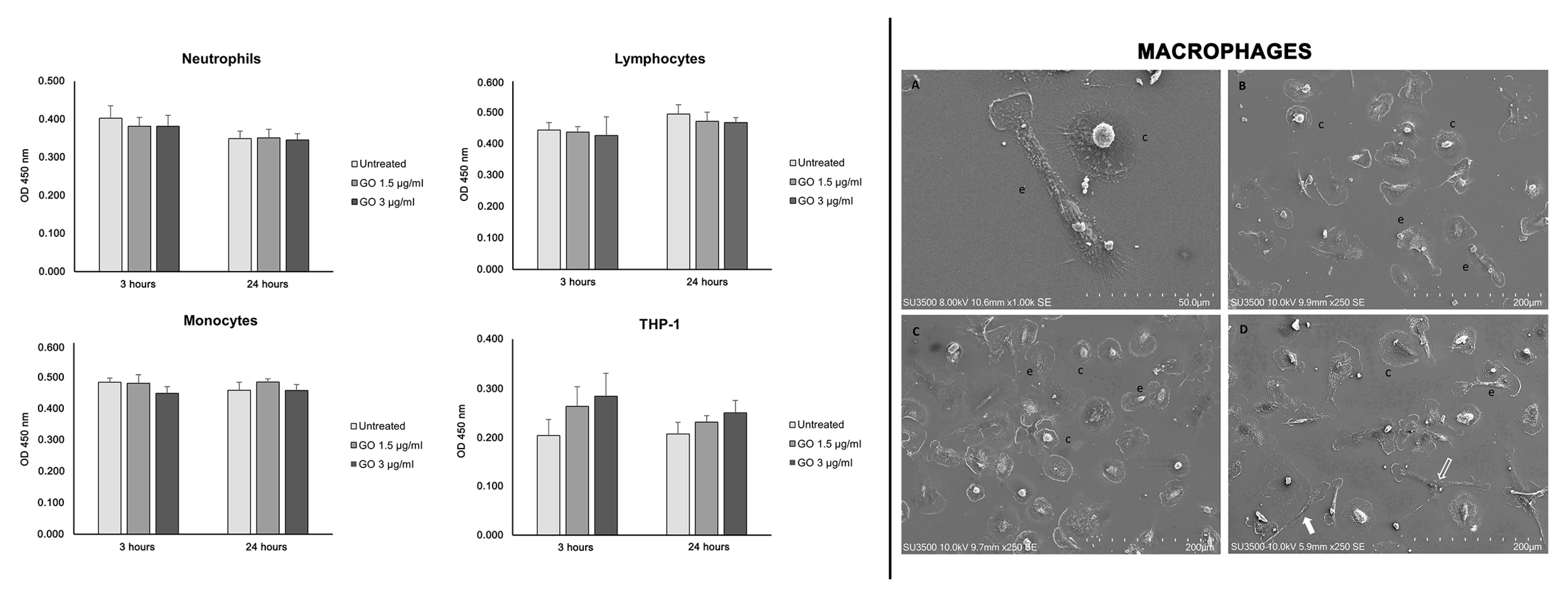 Biomedicines 12 00256 g004