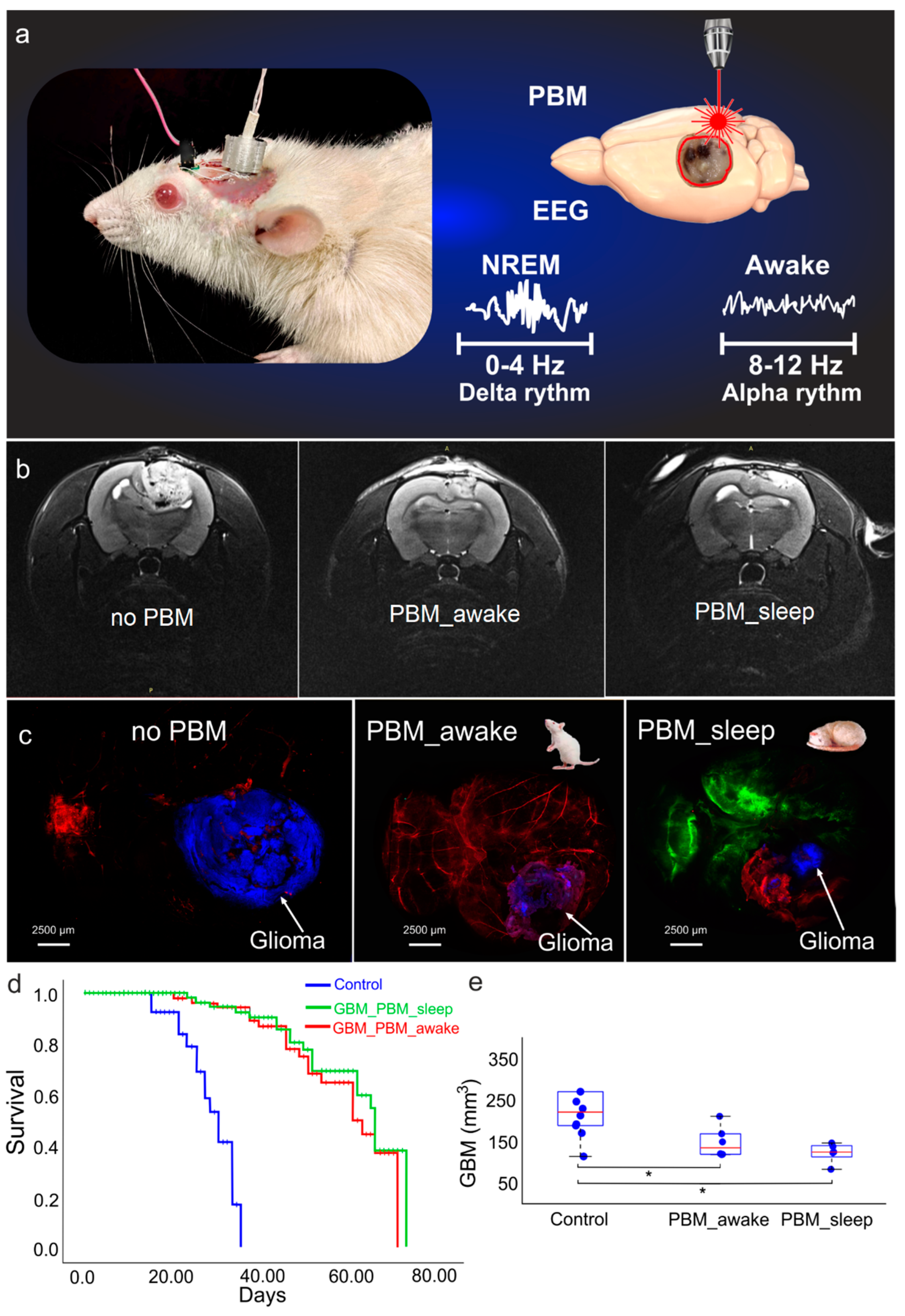 Biomedicines 12 00262 g001