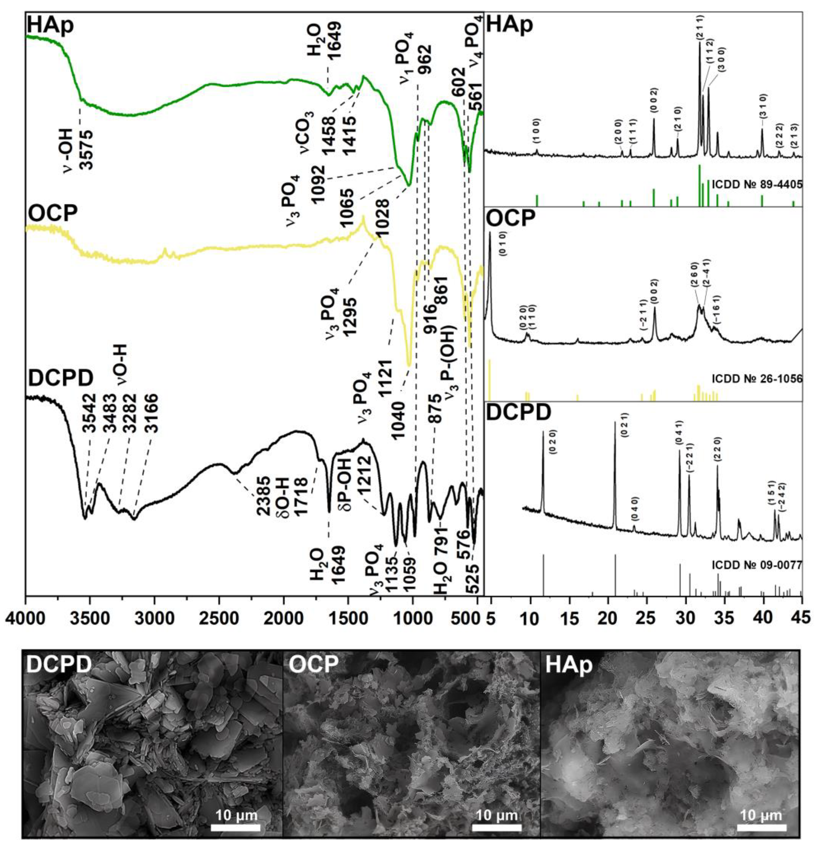 Biomedicines 12 00263 g001