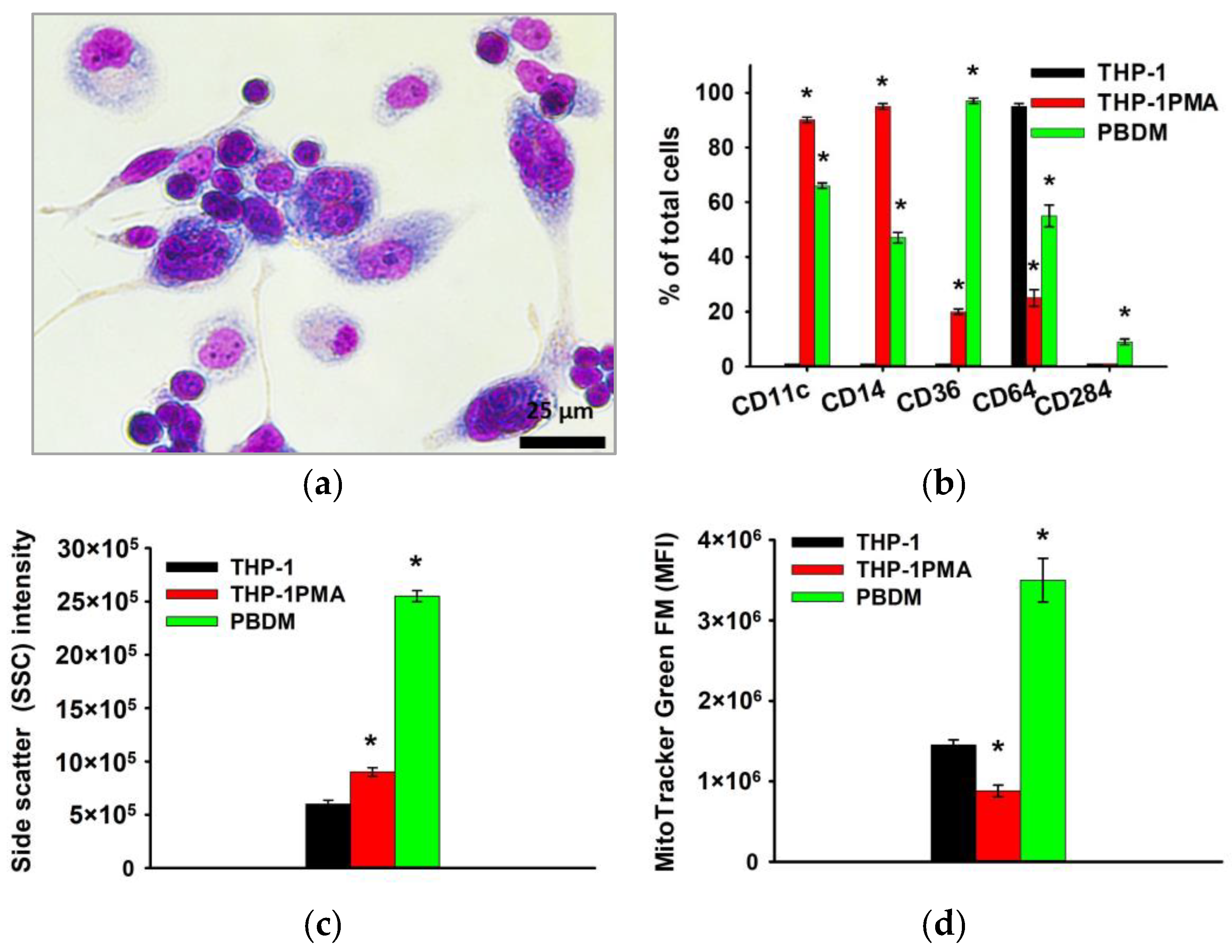 Biomedicines 12 00263 g004
