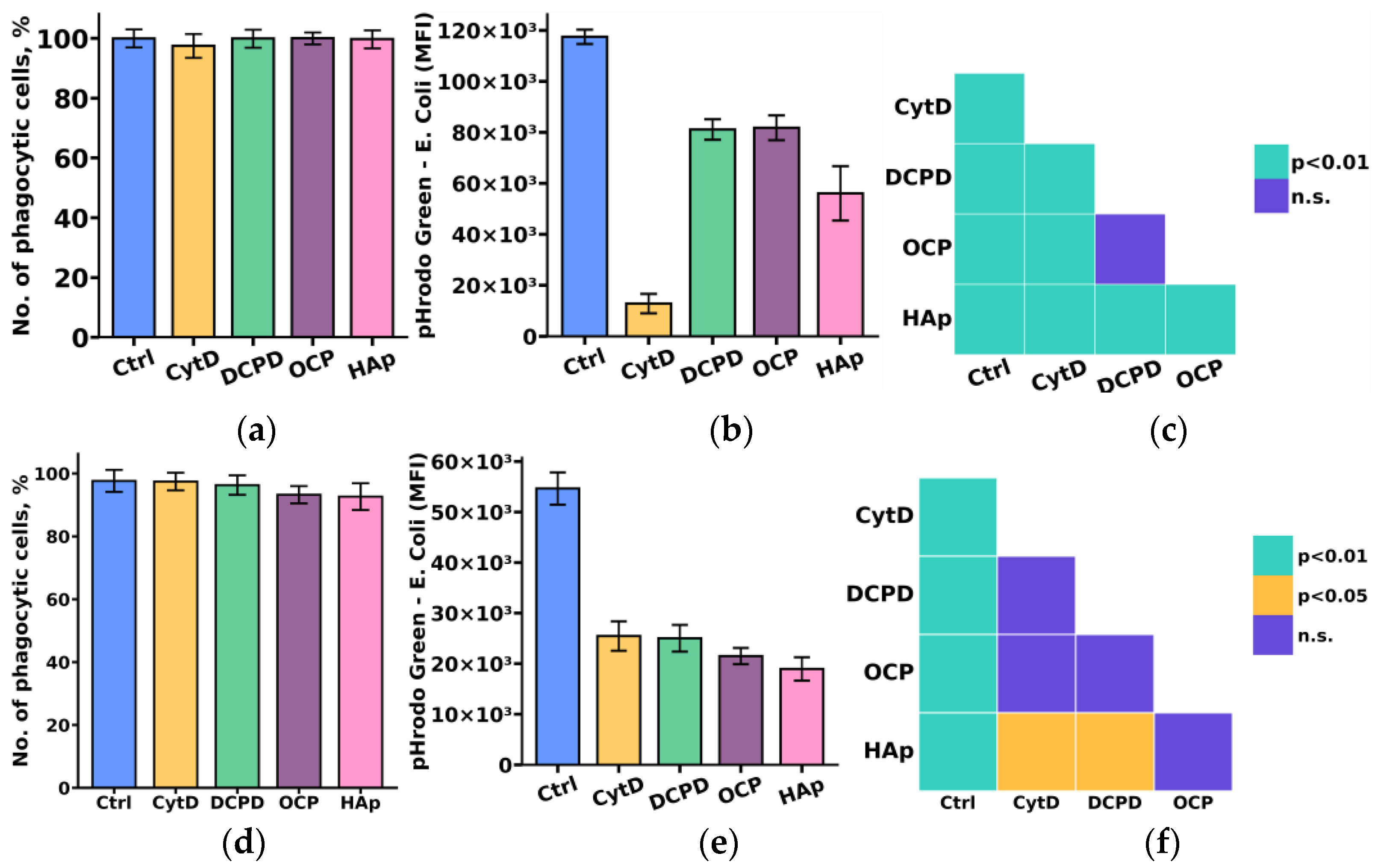 Biomedicines 12 00263 g006