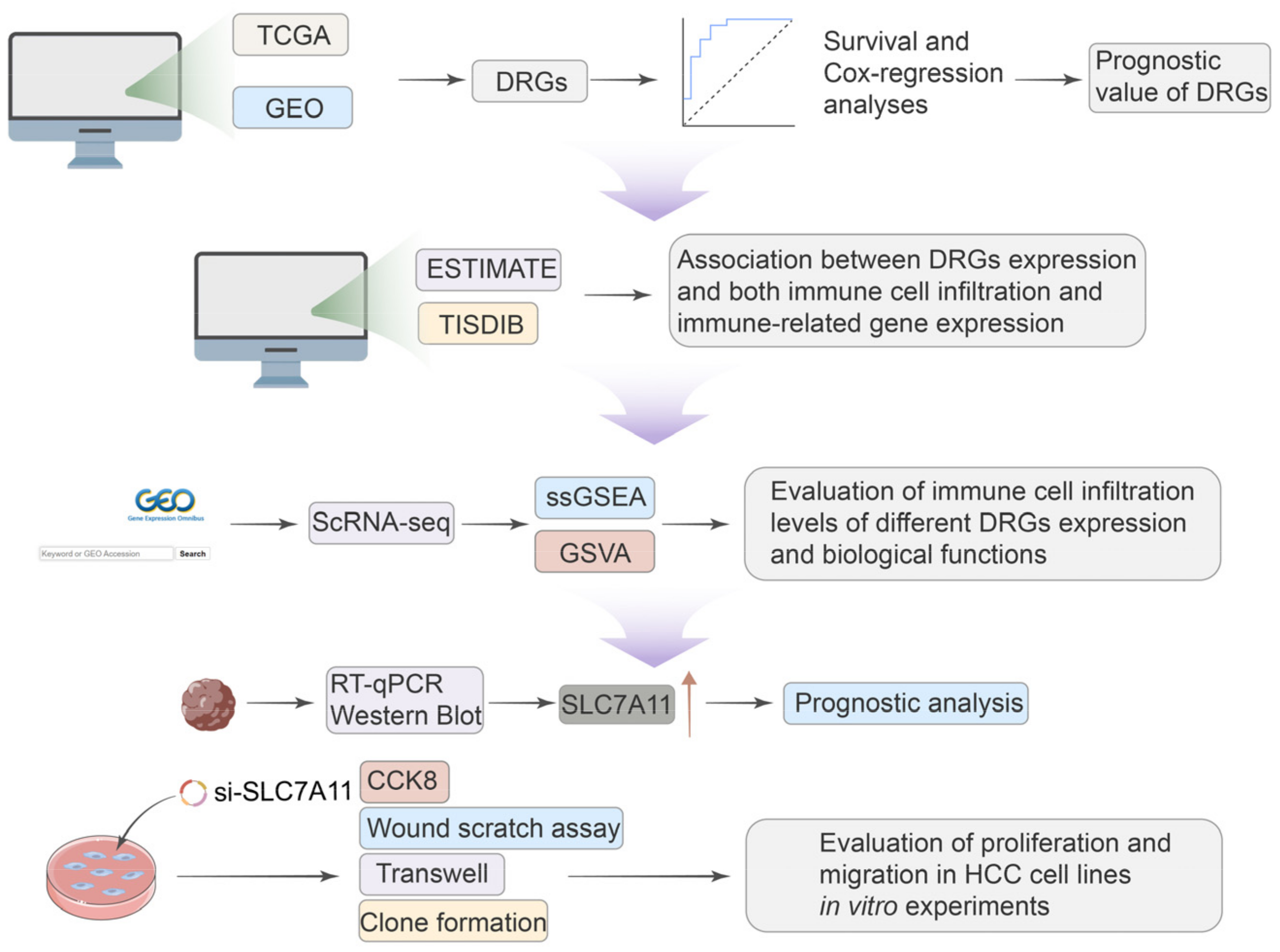 Biomedicines 12 00267 g001