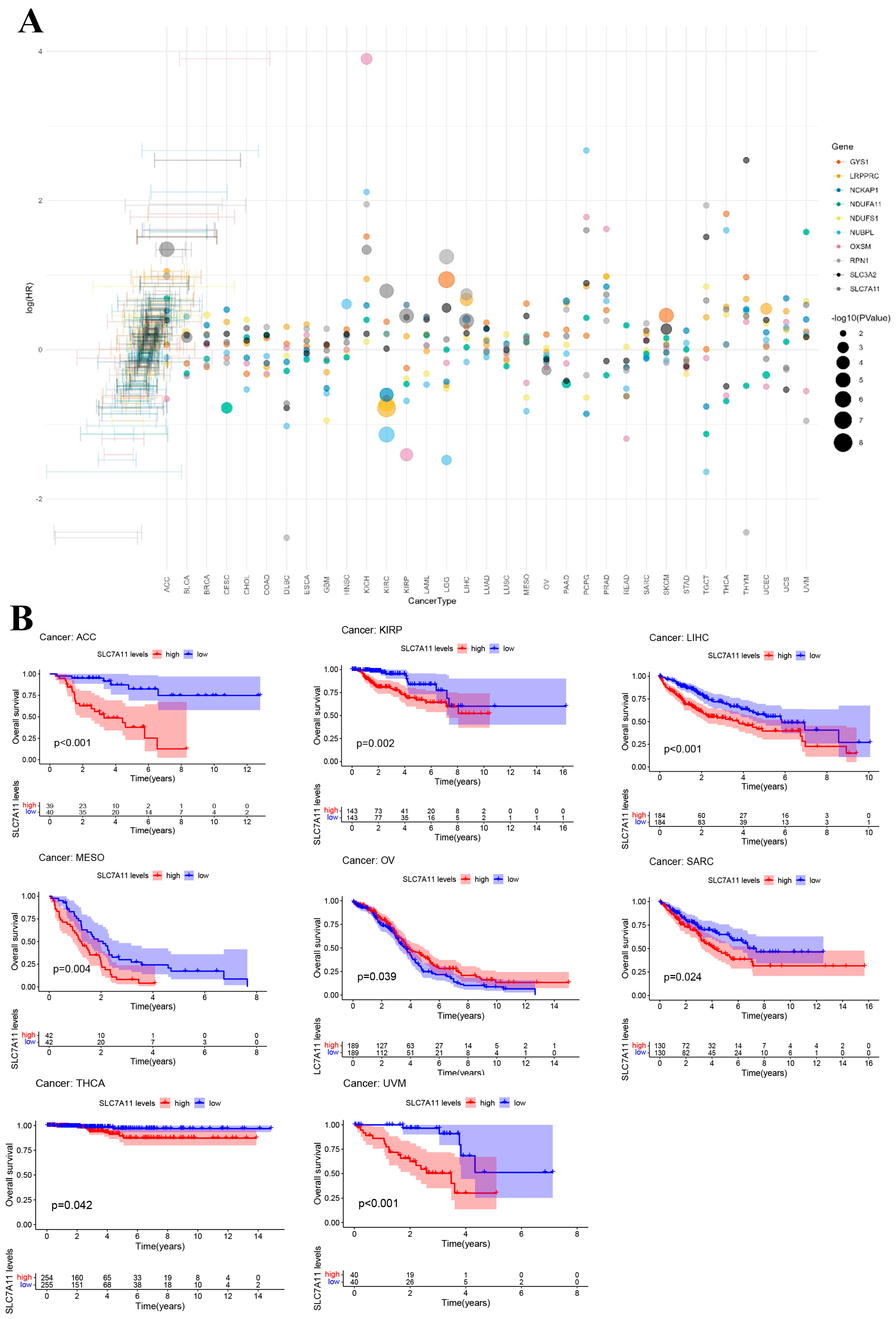 Biomedicines 12 00267 g003