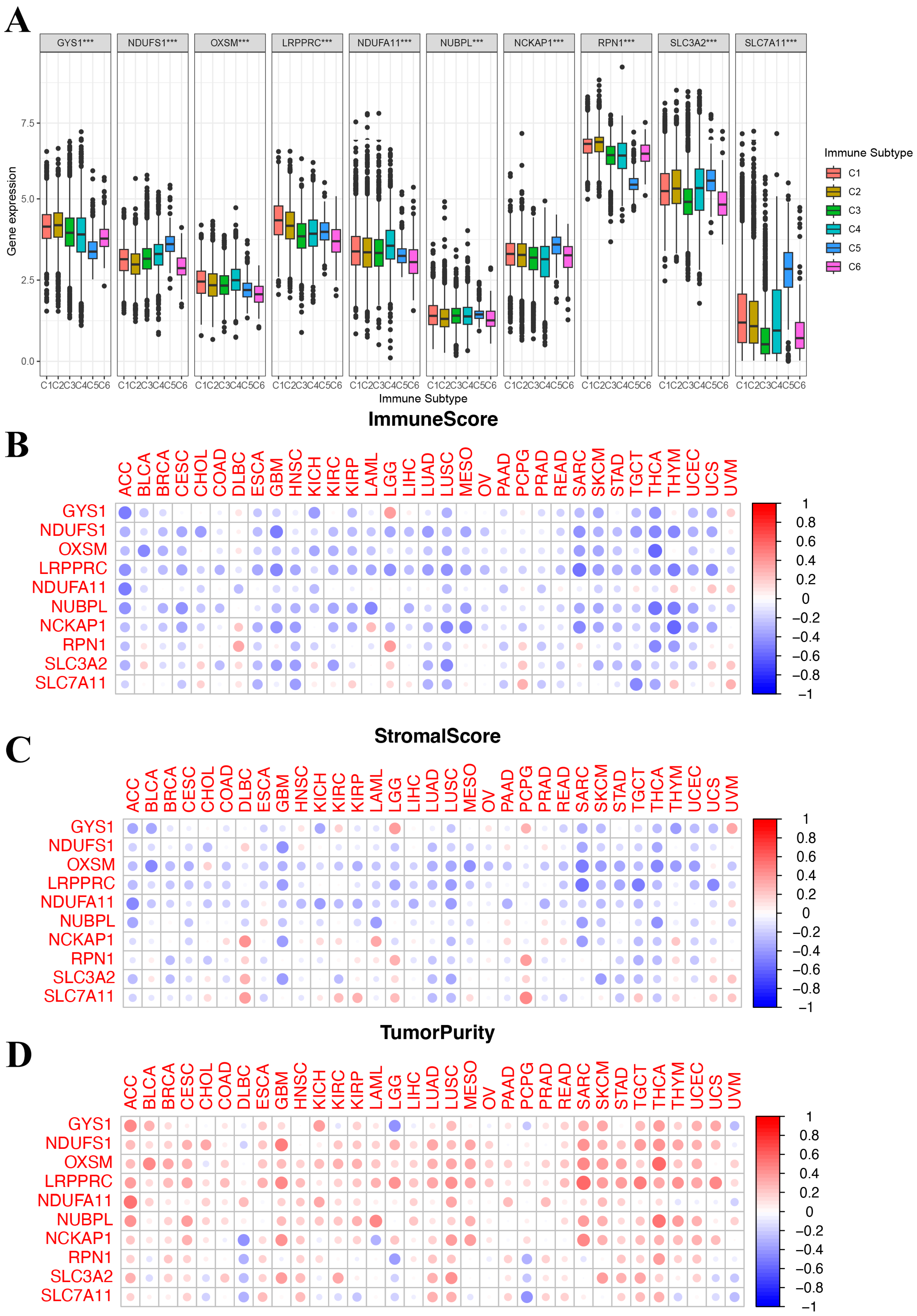 Biomedicines 12 00267 g004
