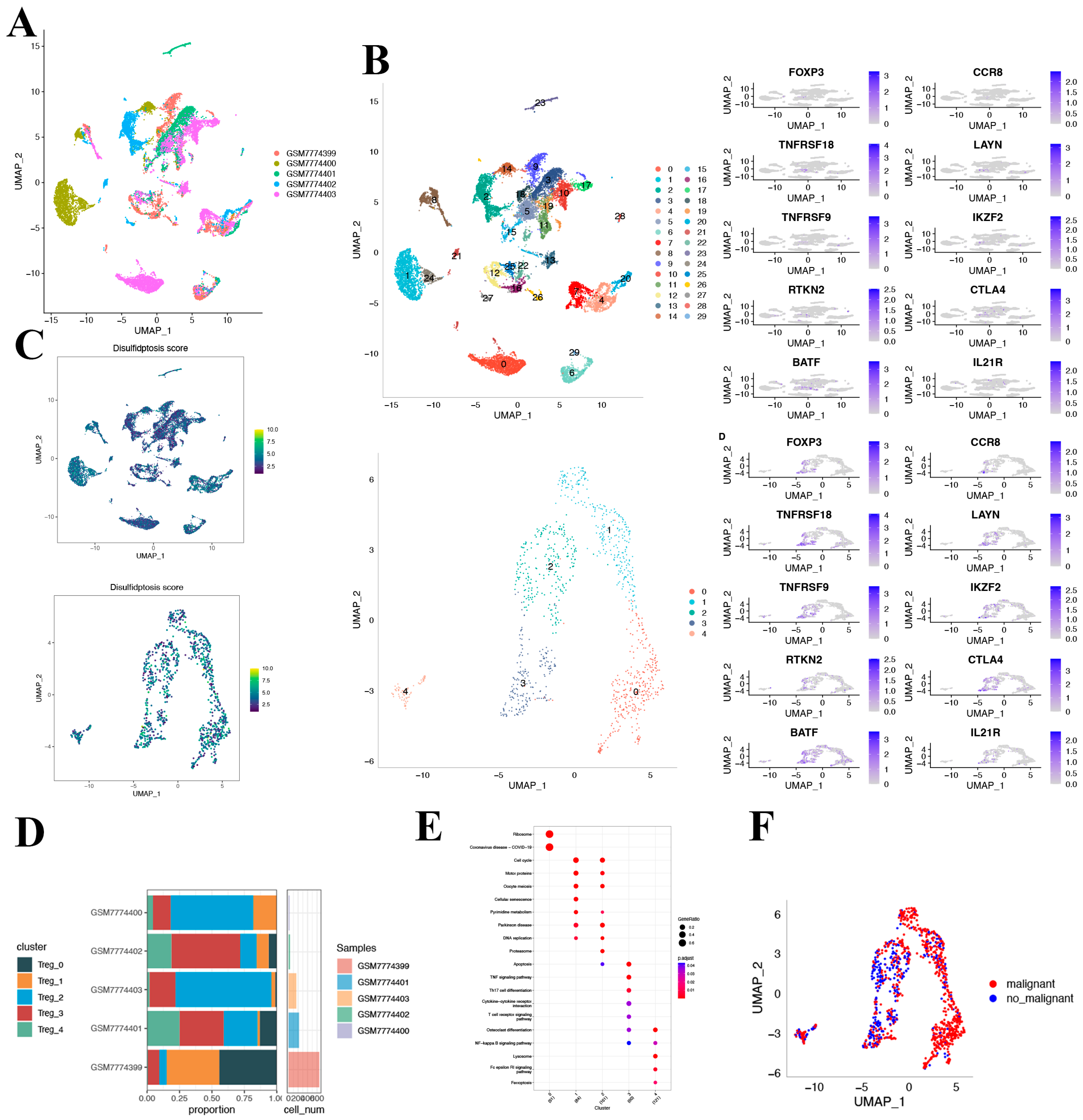 Biomedicines 12 00267 g005