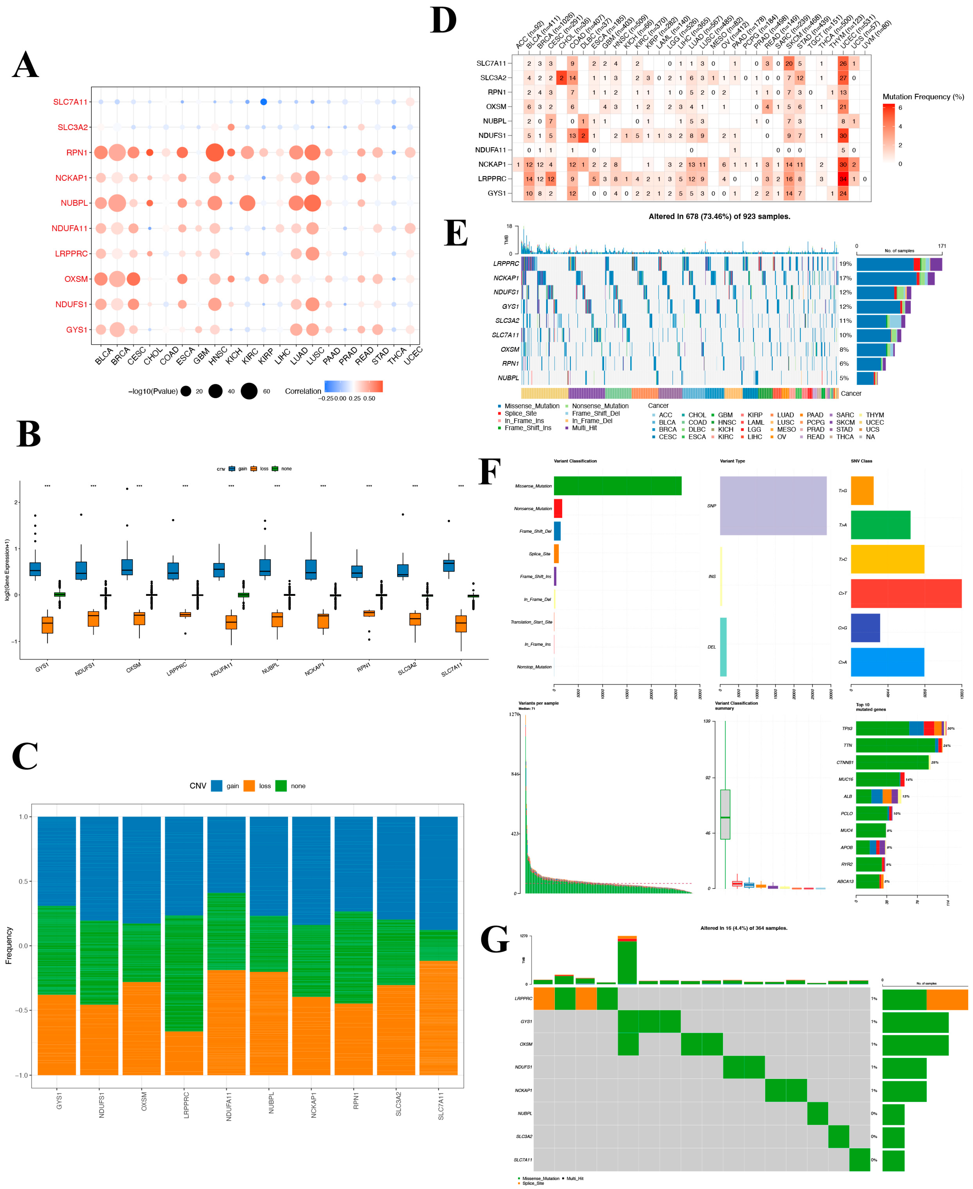 Biomedicines 12 00267 g006