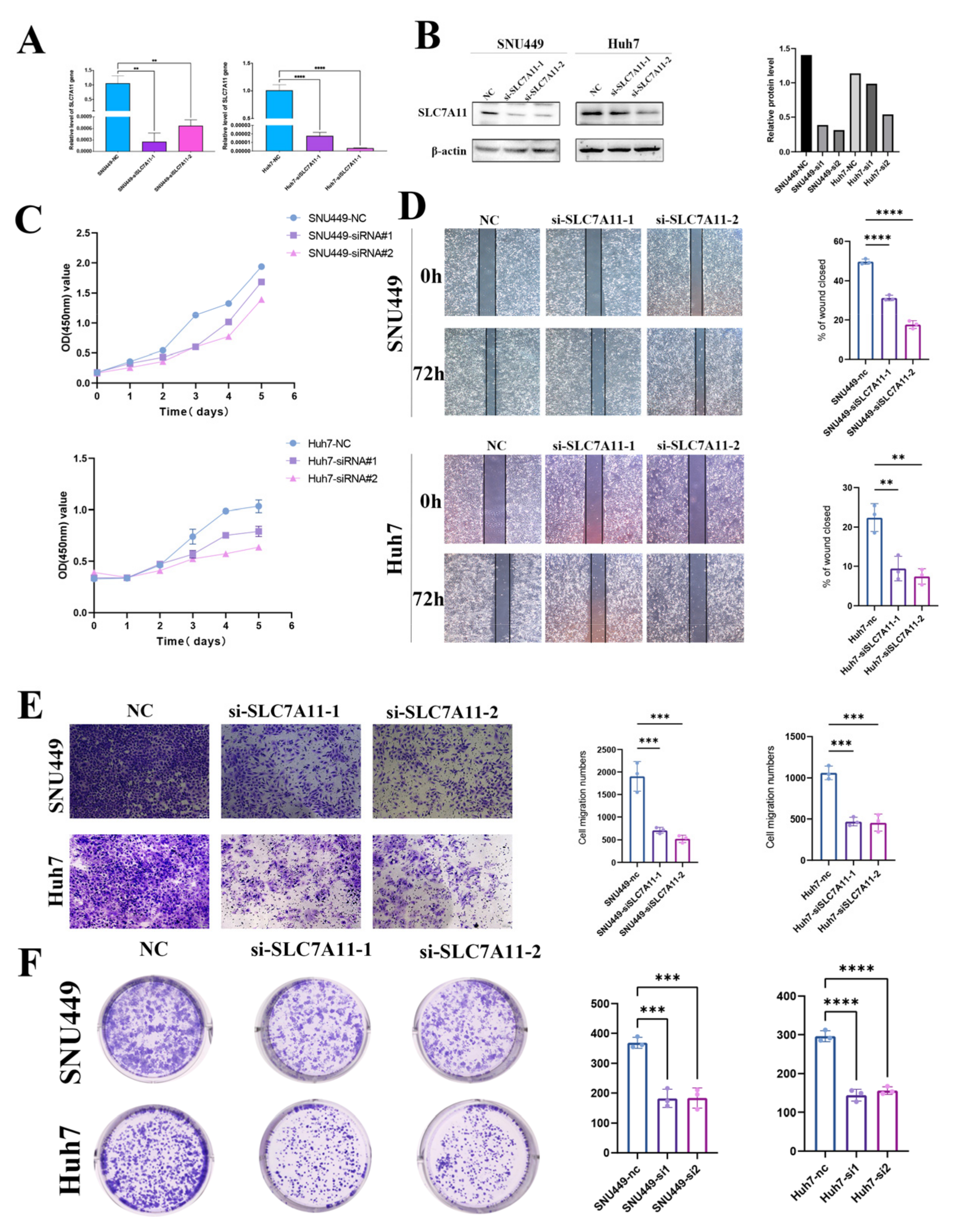 Biomedicines 12 00267 g009